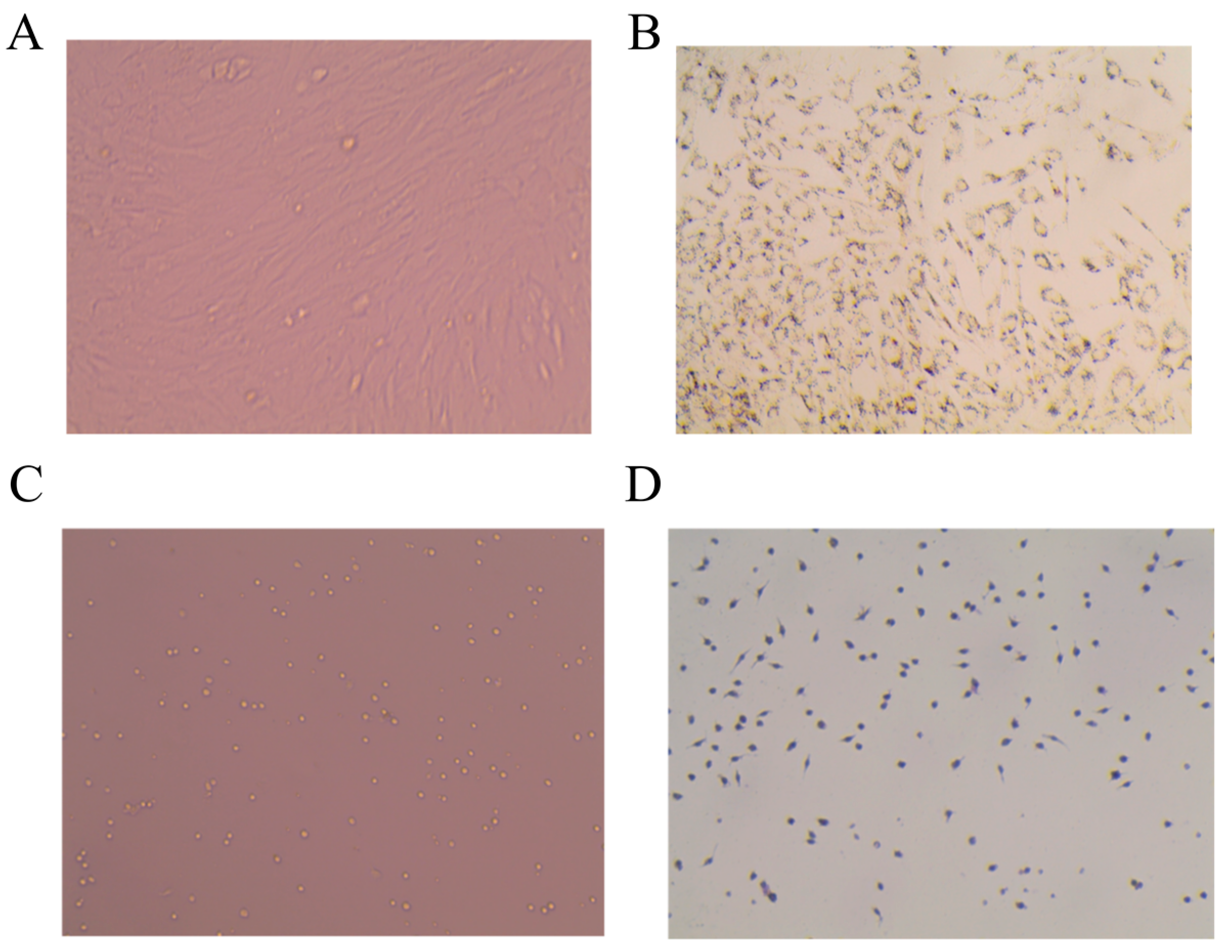 Molecules 28 03083 g002 Molecules 28 03083 g002