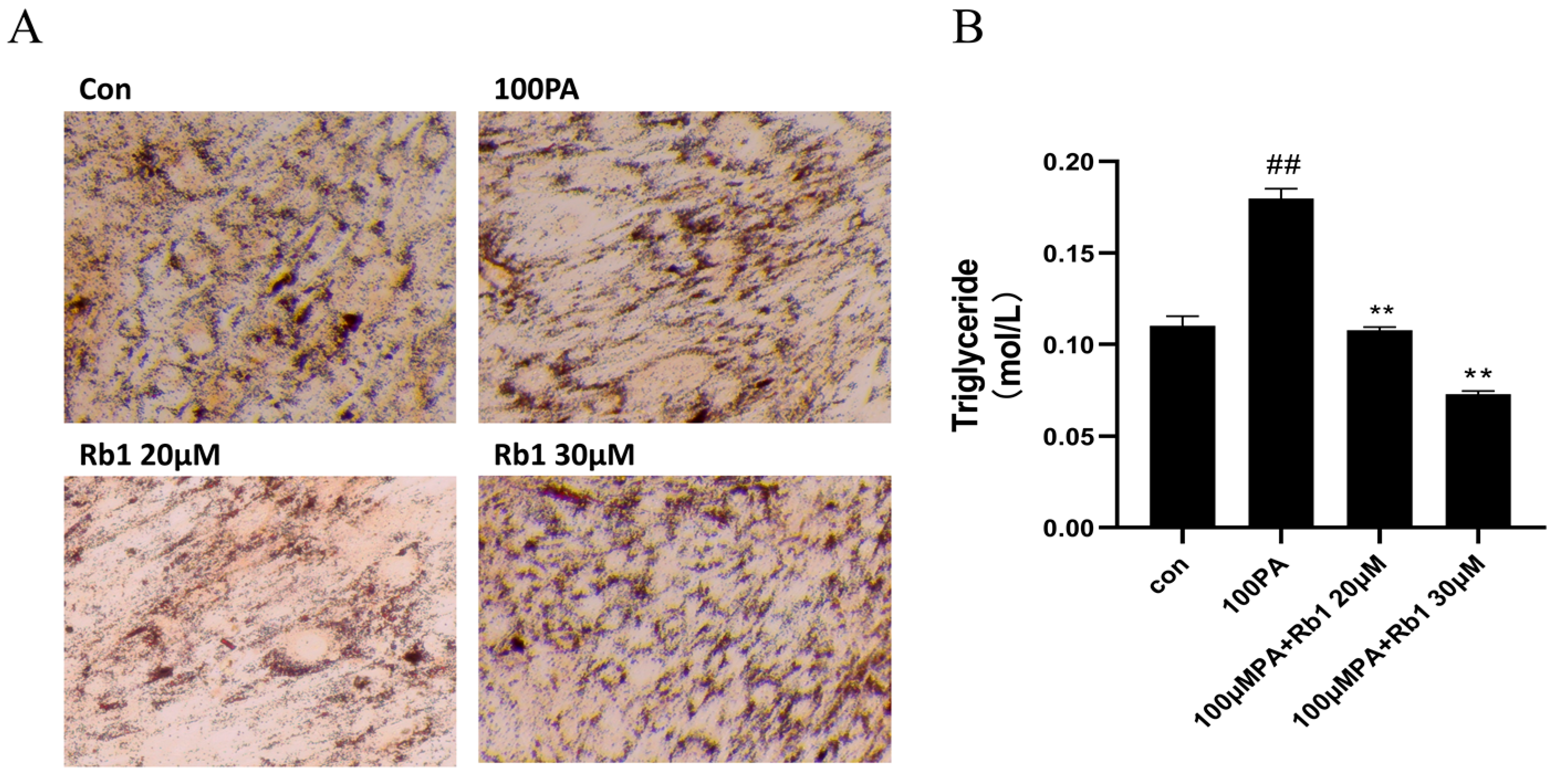 Molecules 28 03083 g004 Molecules 28 03083 g004