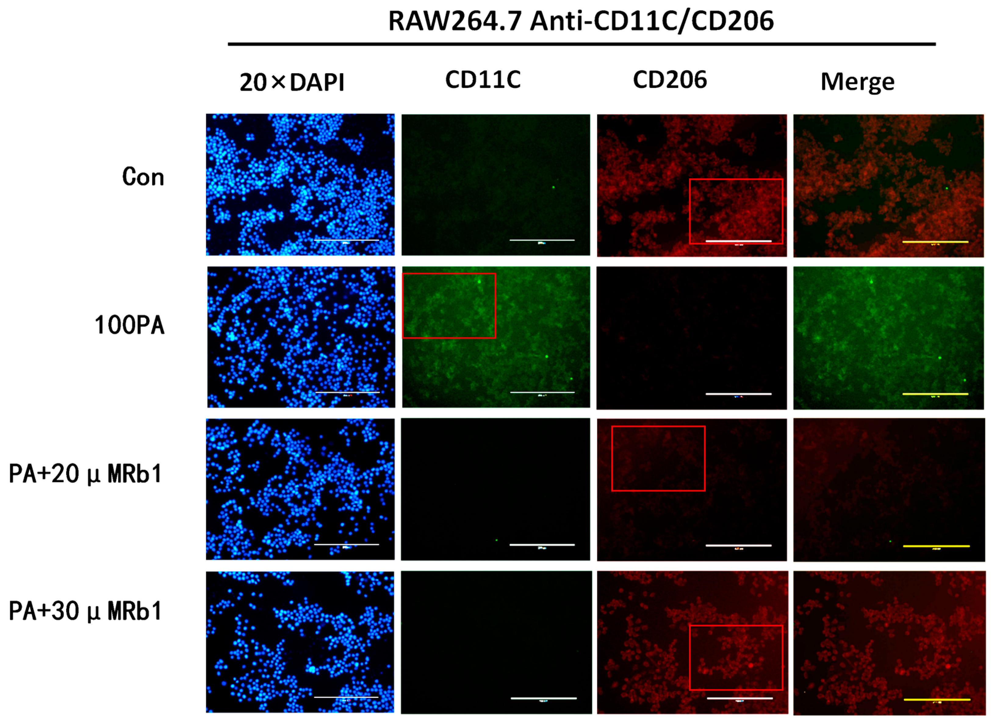 Molecules 28 03083 g006 Molecules 28 03083 g006