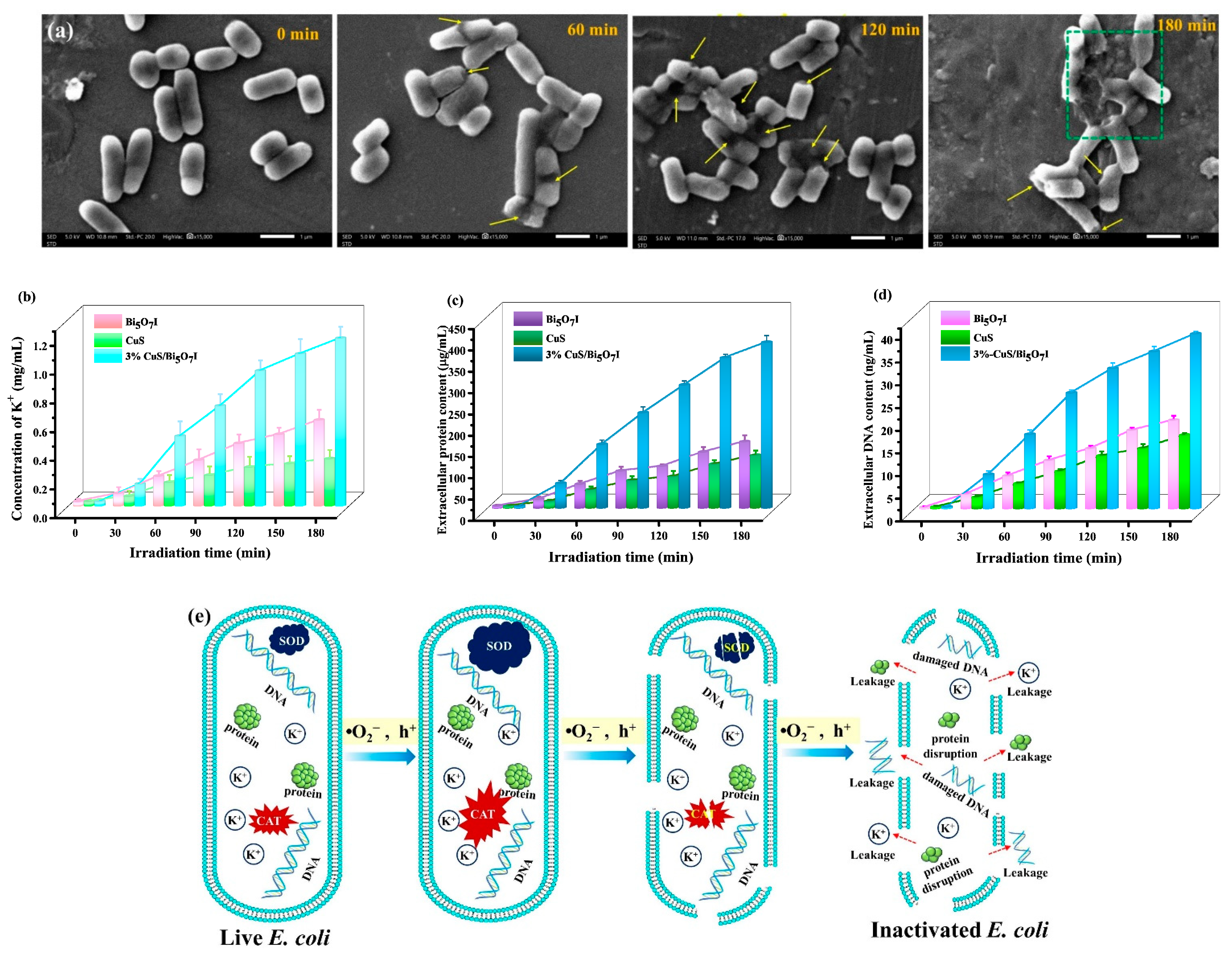 Molecules 28 03084 g008