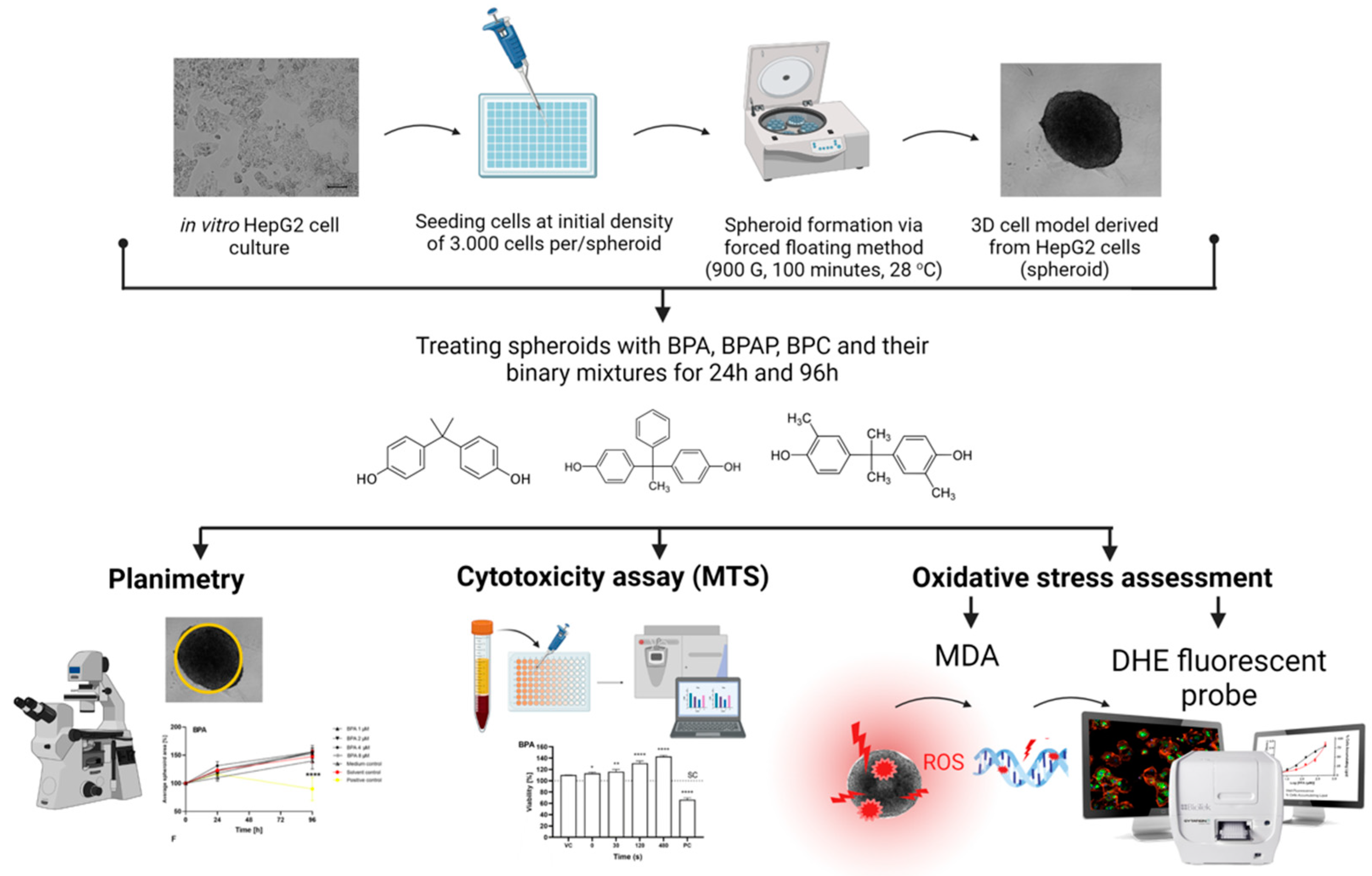 Molecules 28 03085 g001