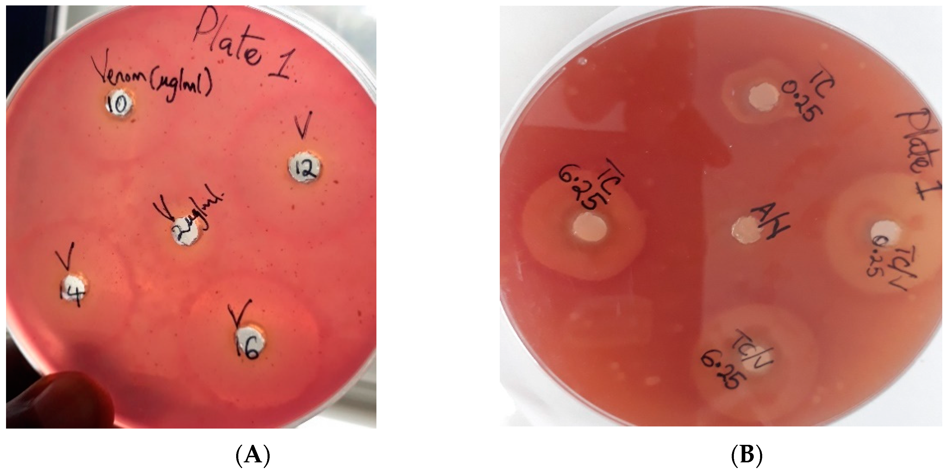 Molecules 28 03089 g002 Molecules 28 03089 g002