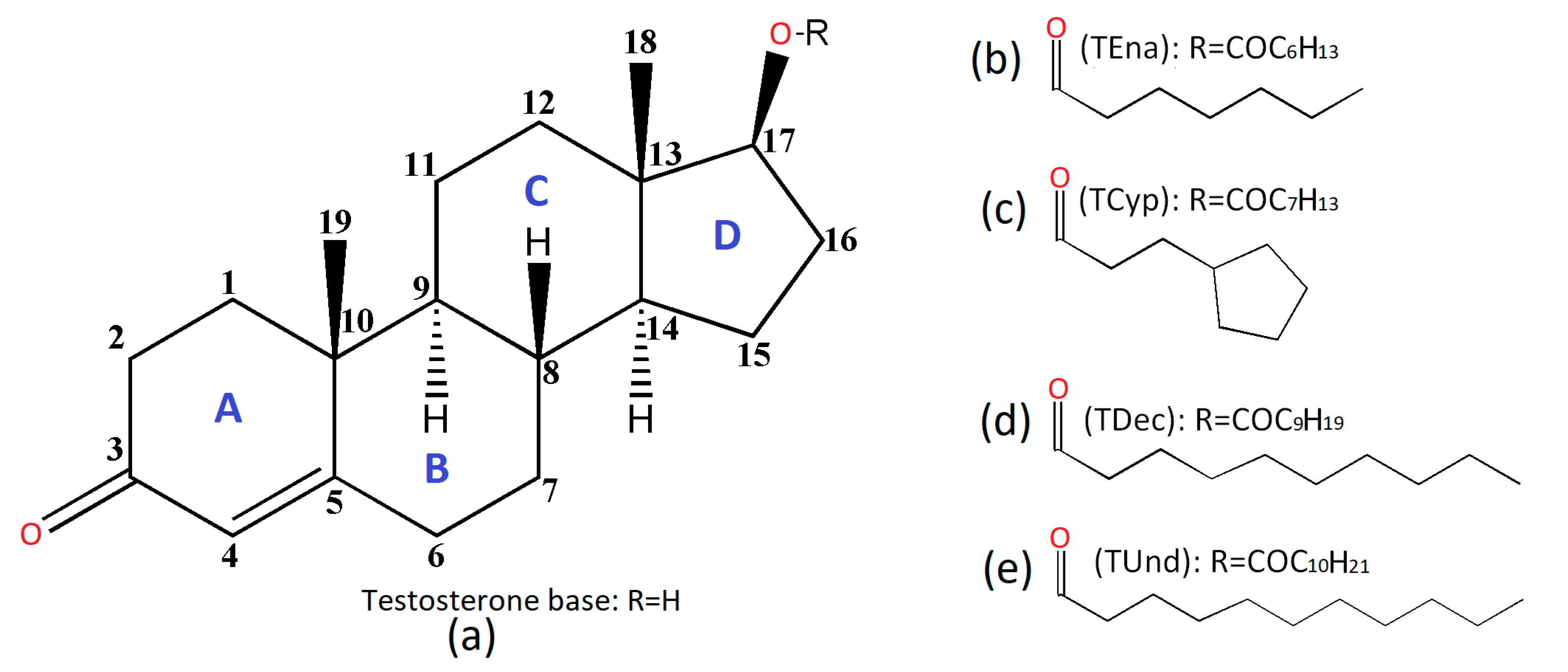 Testosterone Structure