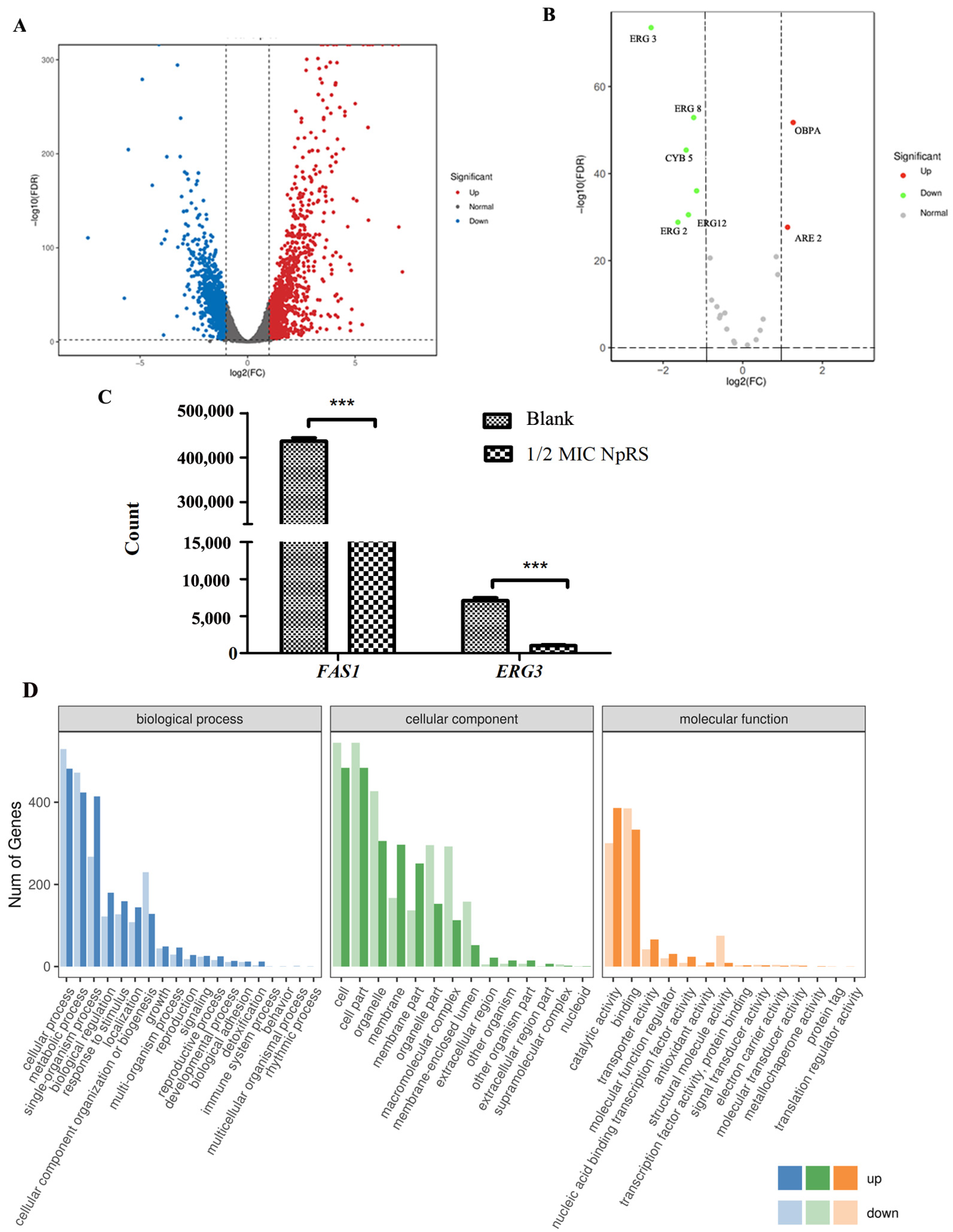 Molecules 28 03098 g004