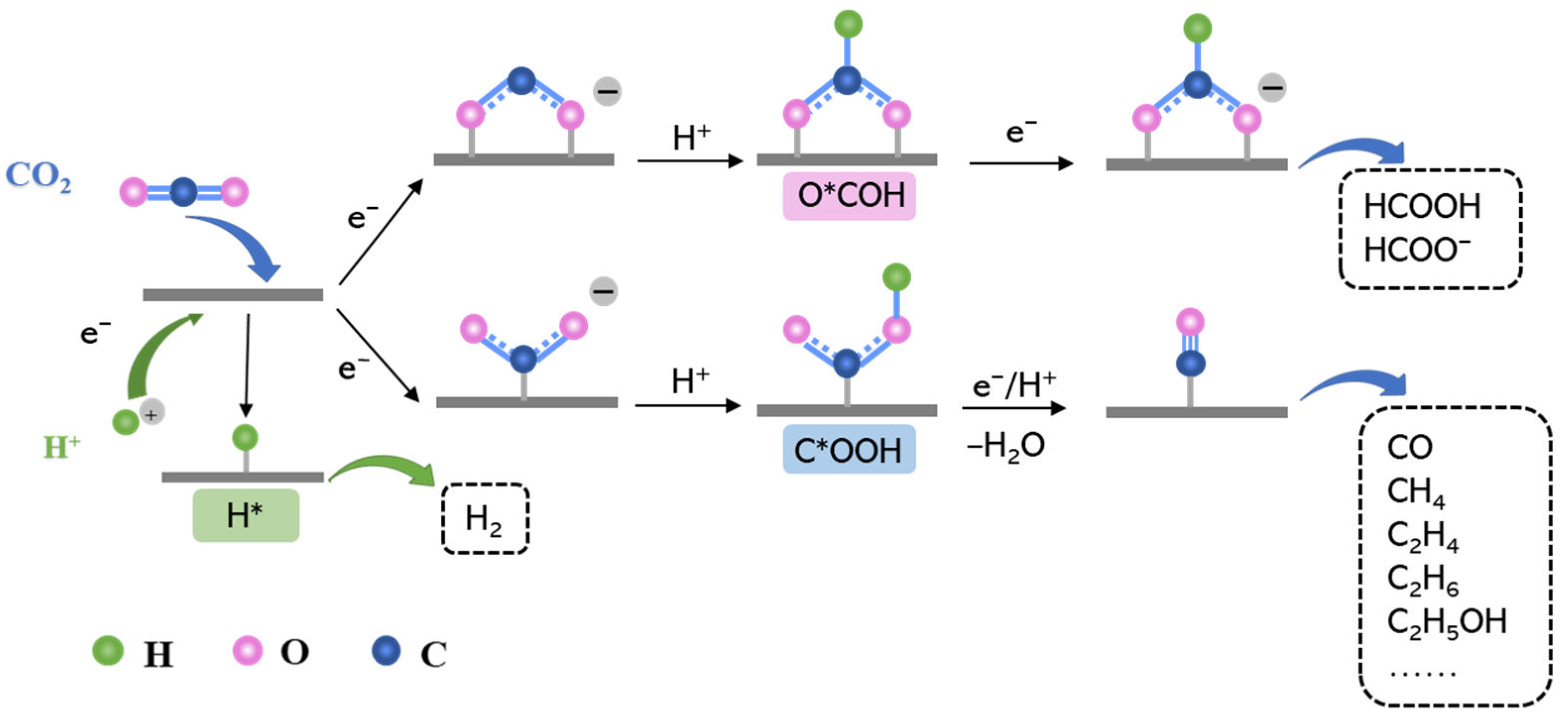 Molecules 28 03105 g001 Molecules 28 03105 g001
