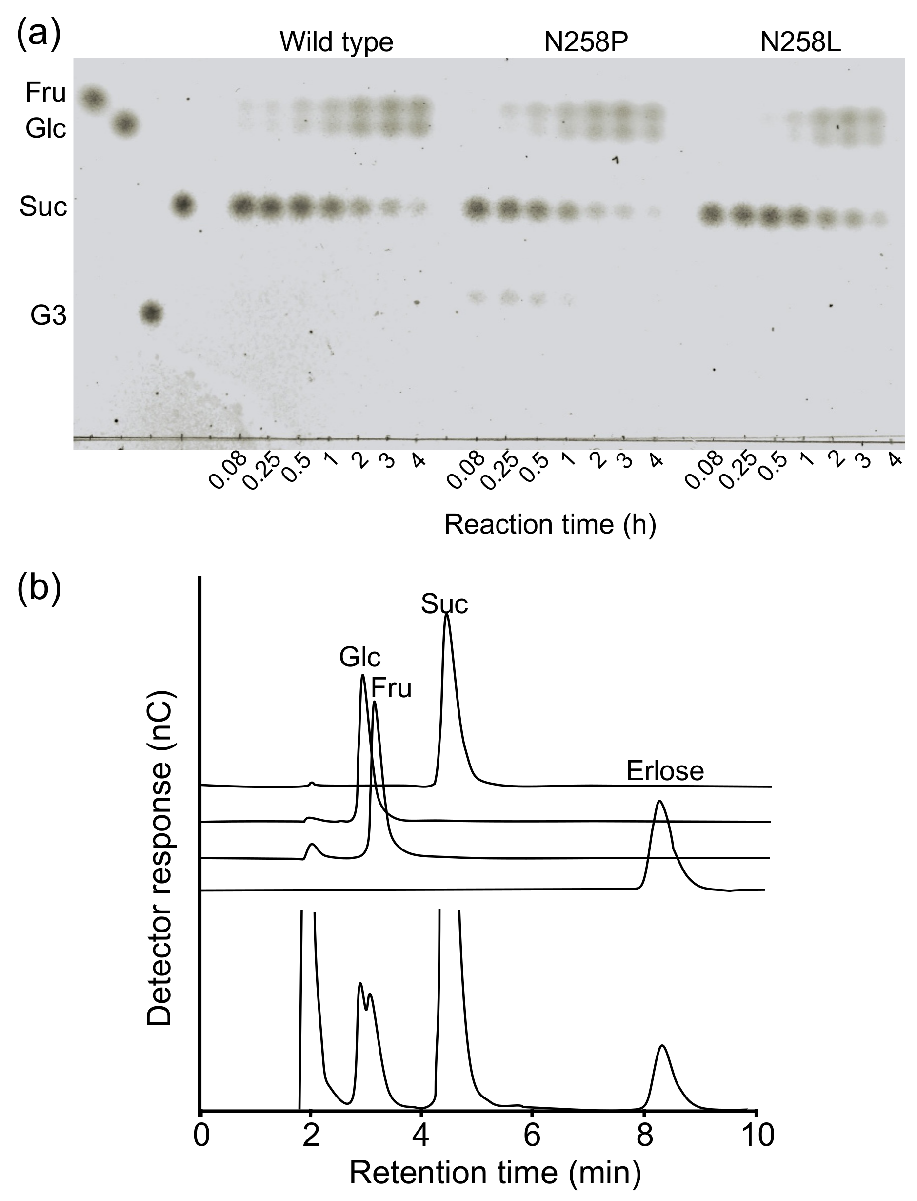 Molecules 28 03109 g003 Molecules 28 03109 g003
