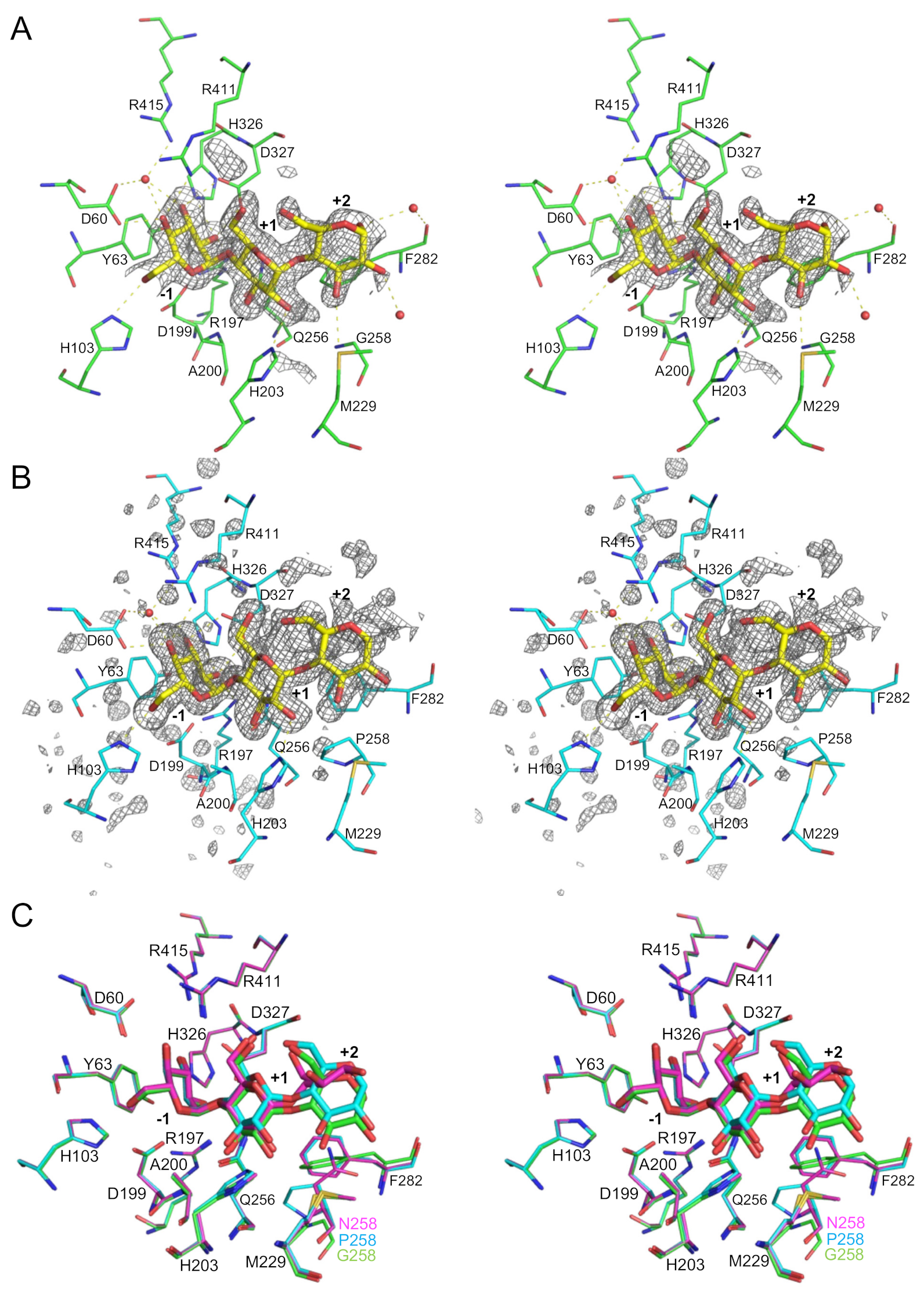 Molecules 28 03109 g005a Molecules 28 03109 g005a