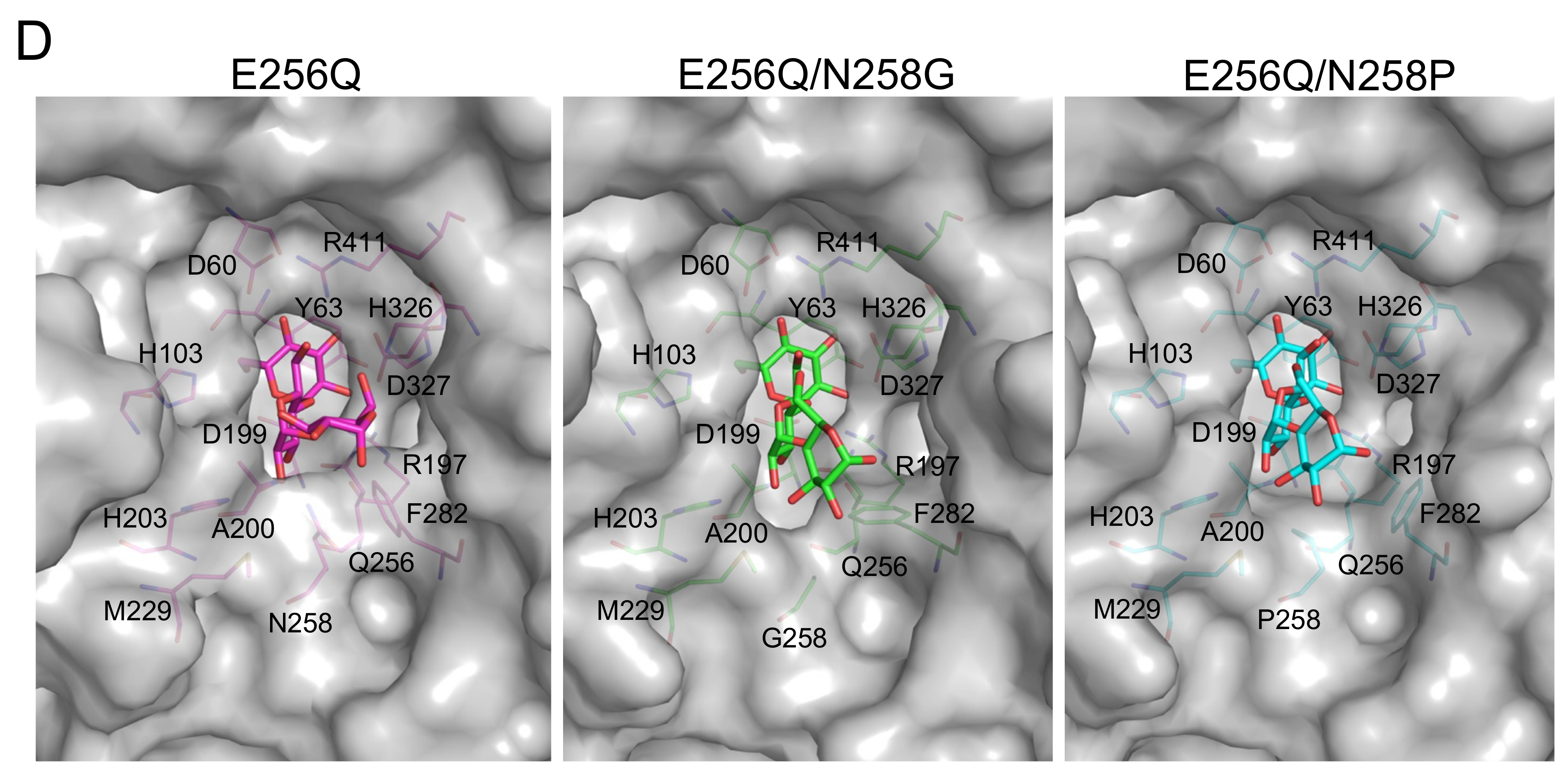 Molecules 28 03109 g005b Molecules 28 03109 g005b