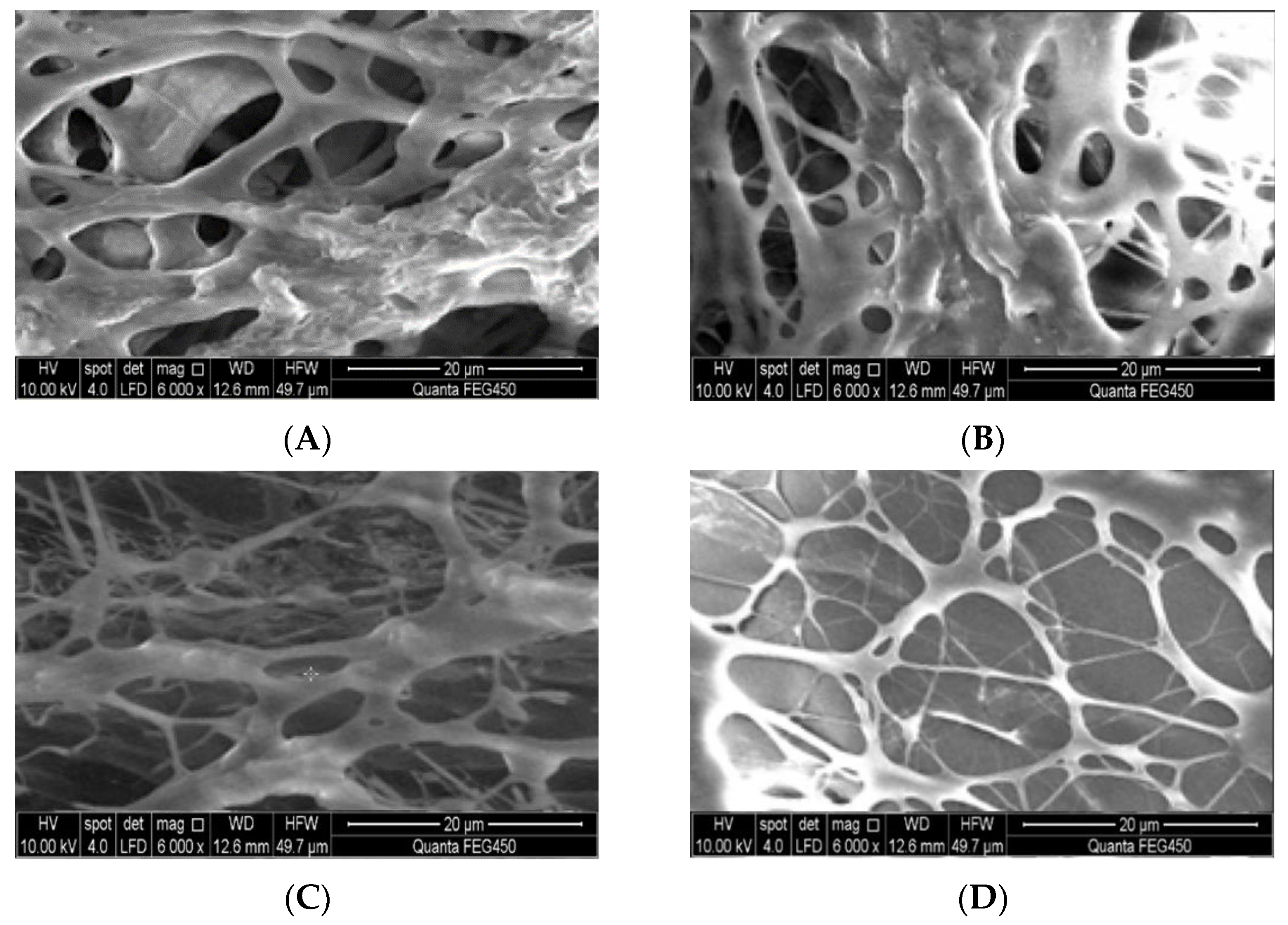 Molecules 28 03125 g011
