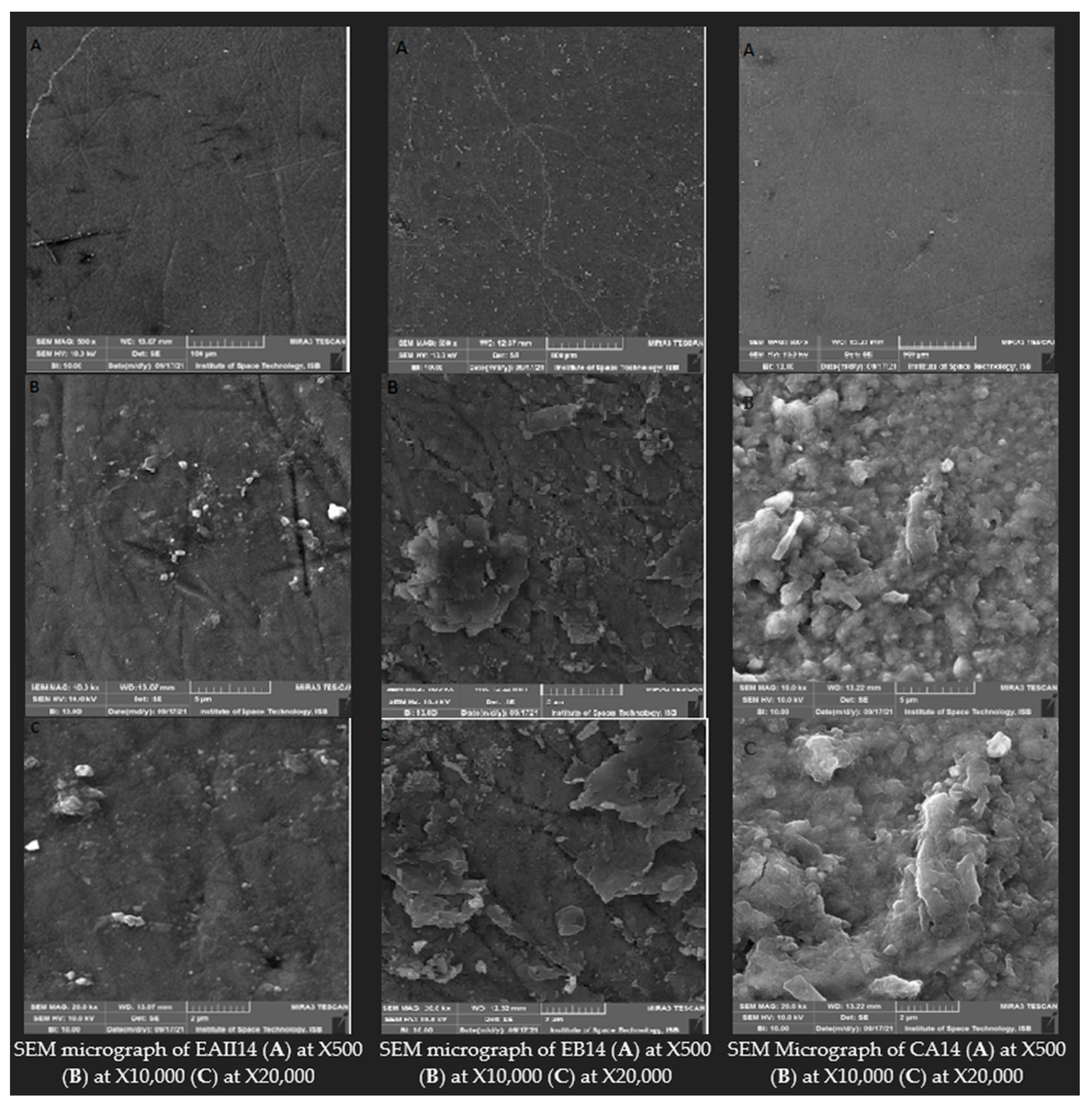 Molecules 28 03131 g008 Molecules 28 03131 g008