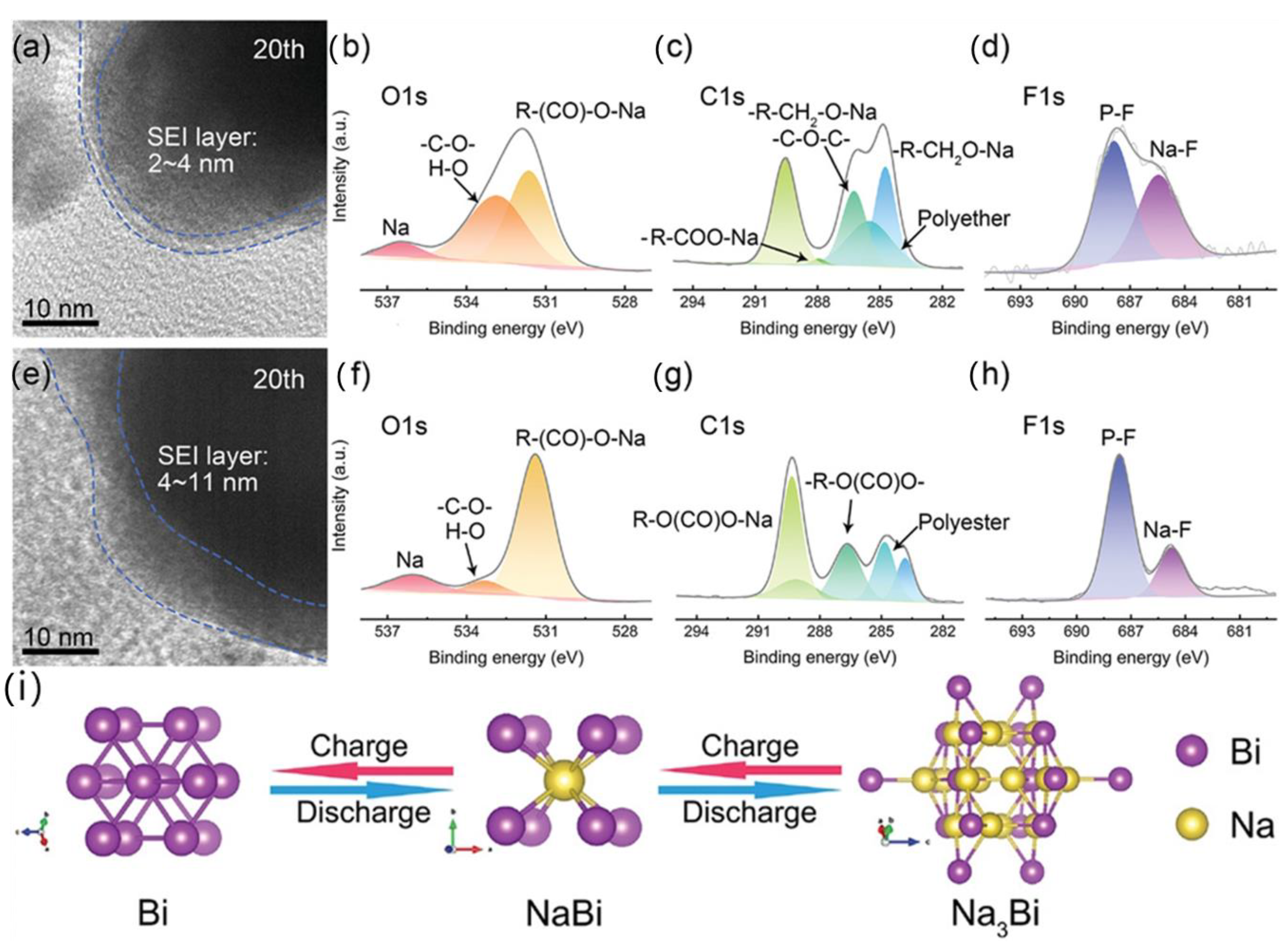 Molecules 28 03134 g007