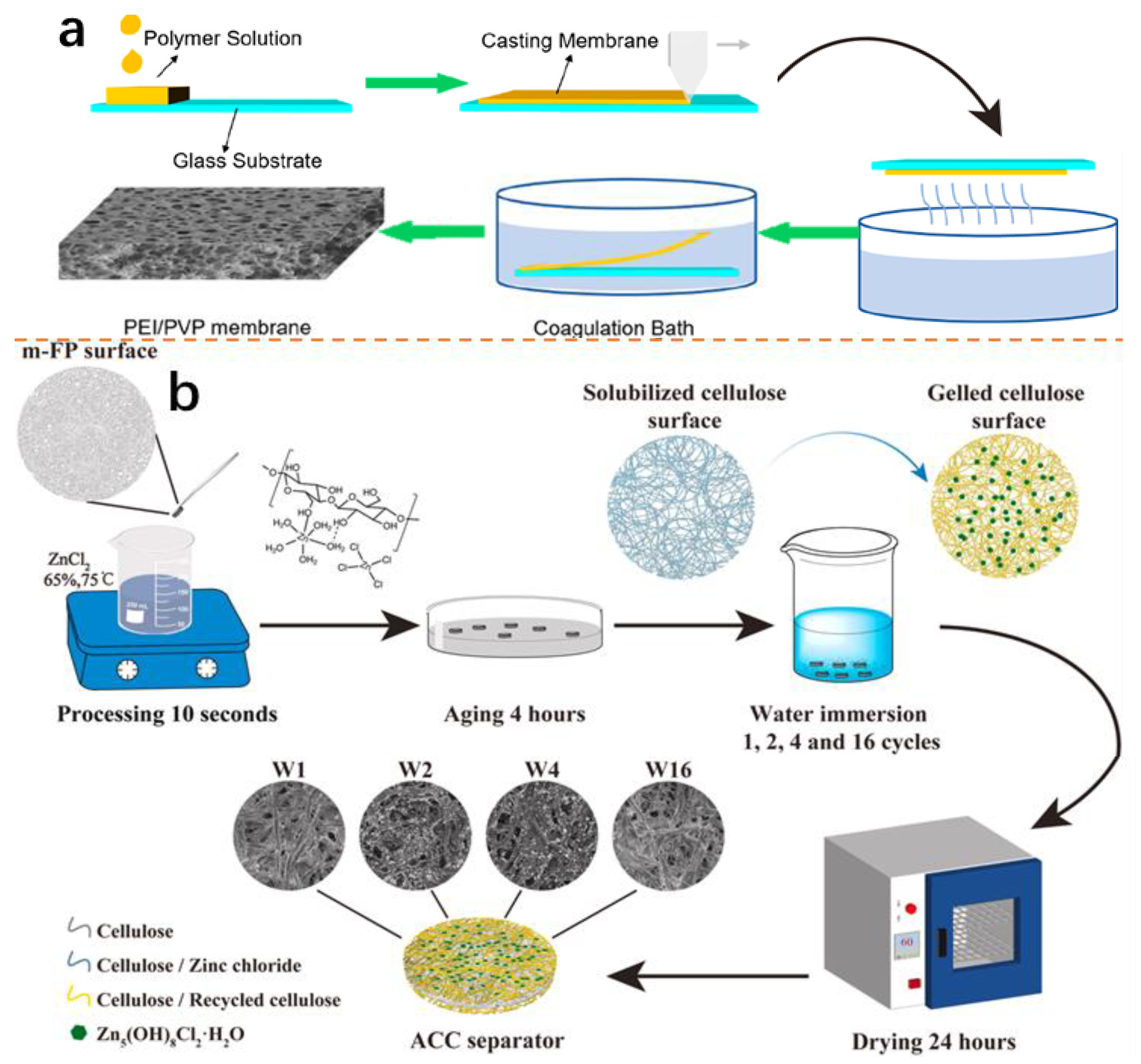 Molecules 28 03134 g009