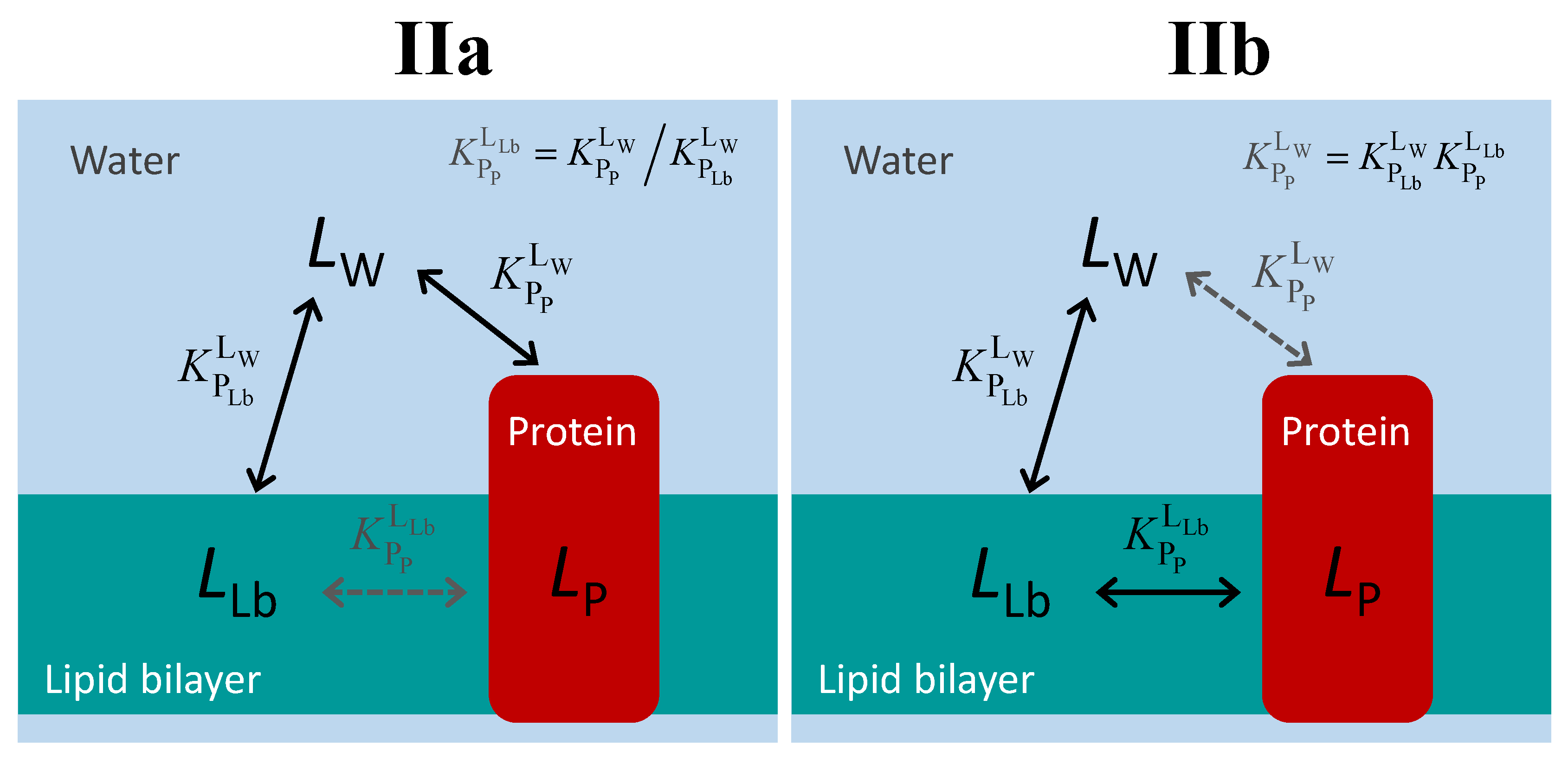 Molecules 28 03136 g004 Molecules 28 03136 g004