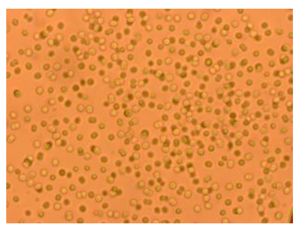 Molecules 28 03144 g001 Molecules 28 03144 g001