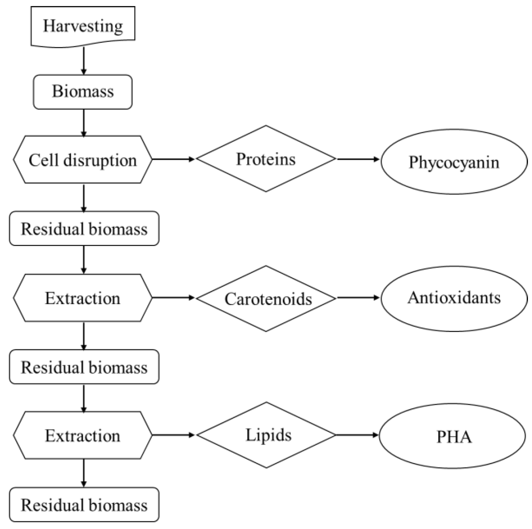 Molecules 28 03144 g002 Molecules 28 03144 g002