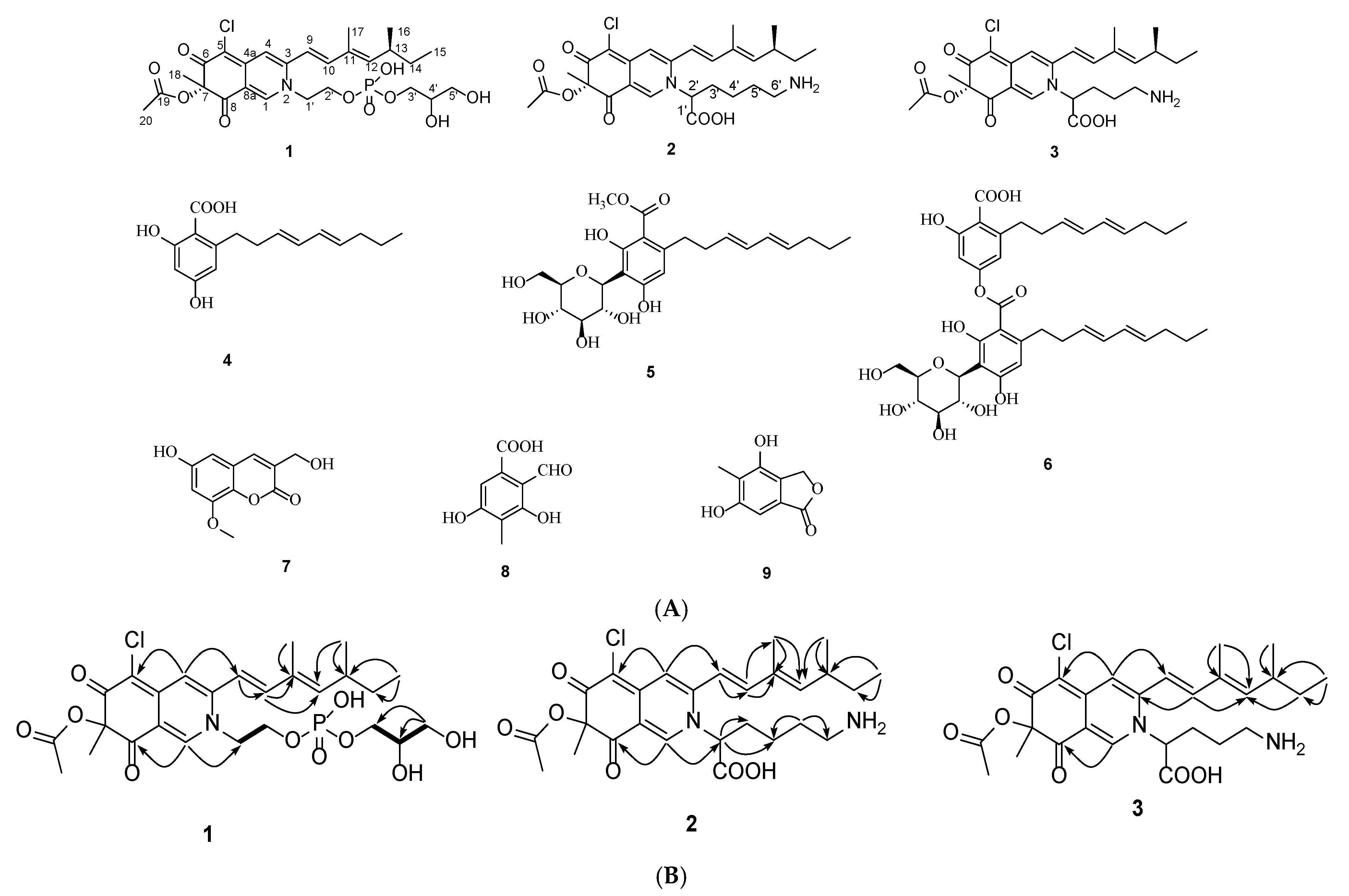 Molecules 28 03146 g001