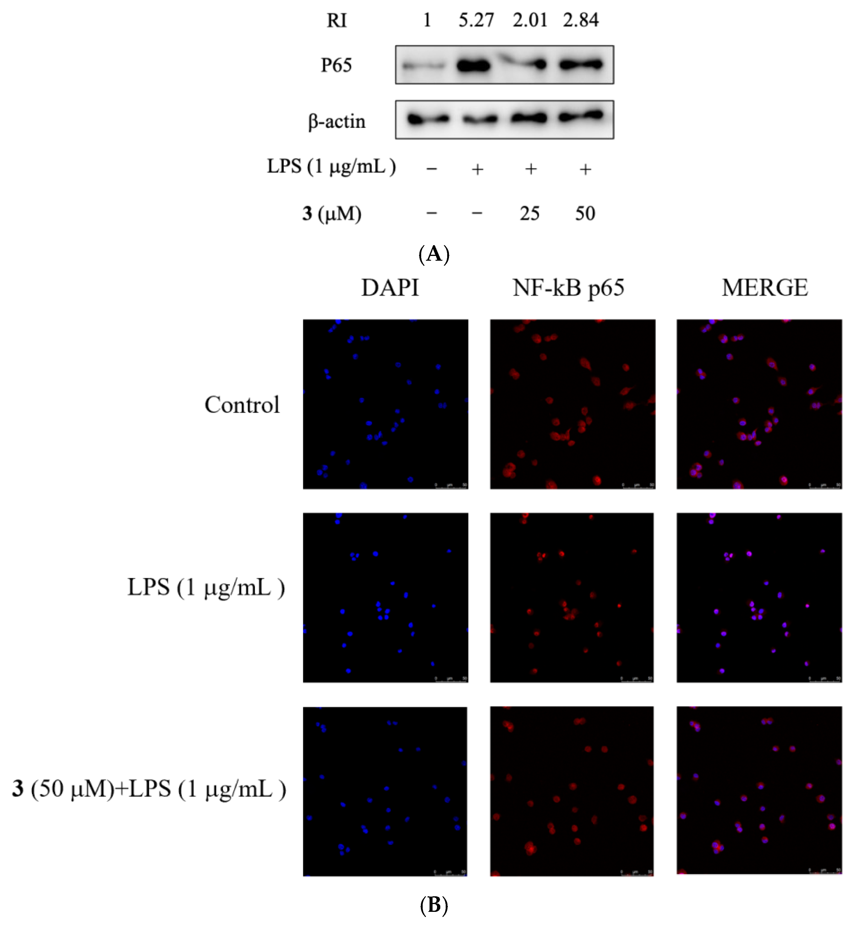 Molecules 28 03146 g004