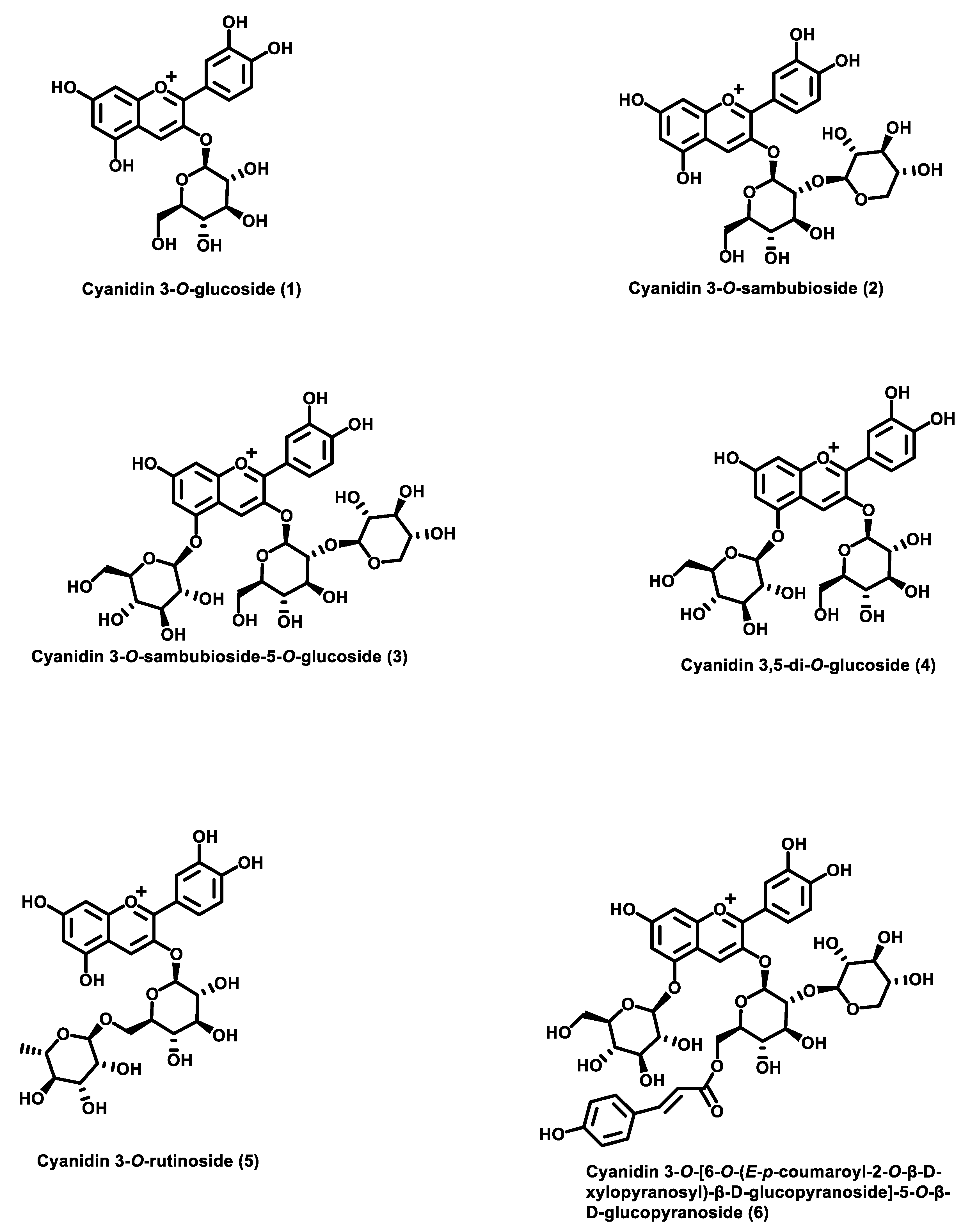 Molecules 28 03148 g001 Molecules 28 03148 g001