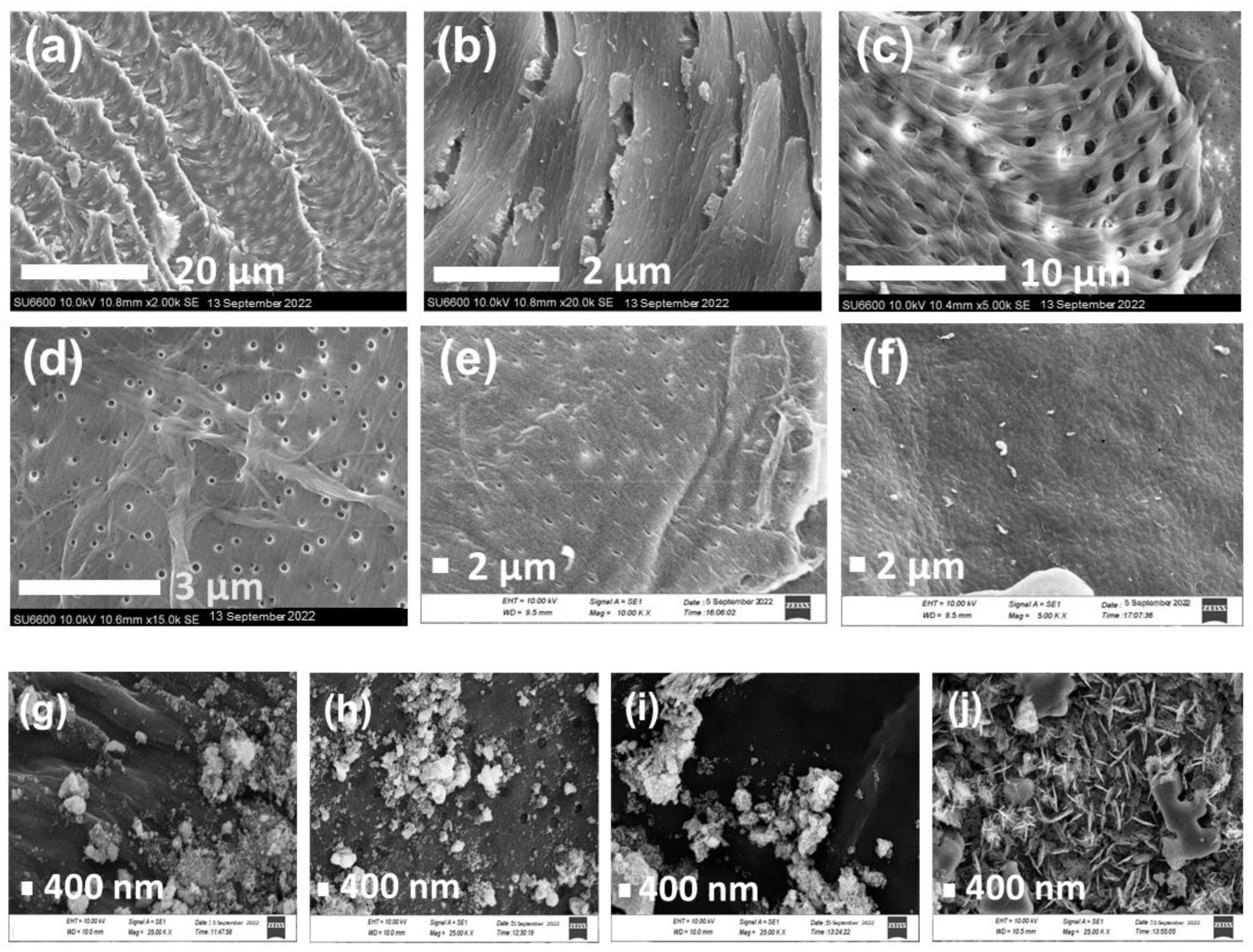 Molecules 28 03154 g003