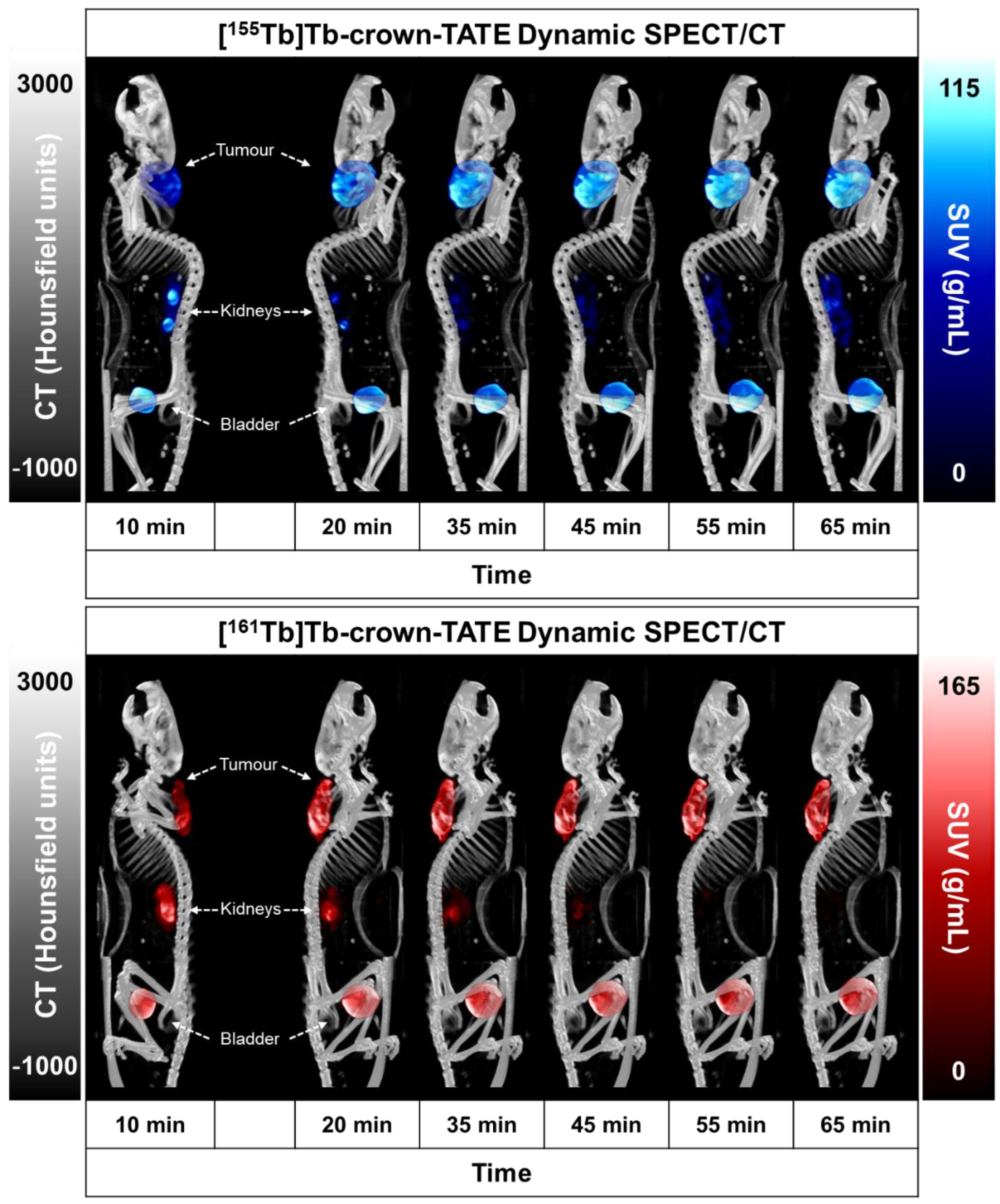 Molecules 28 03155 g003 Molecules 28 03155 g003