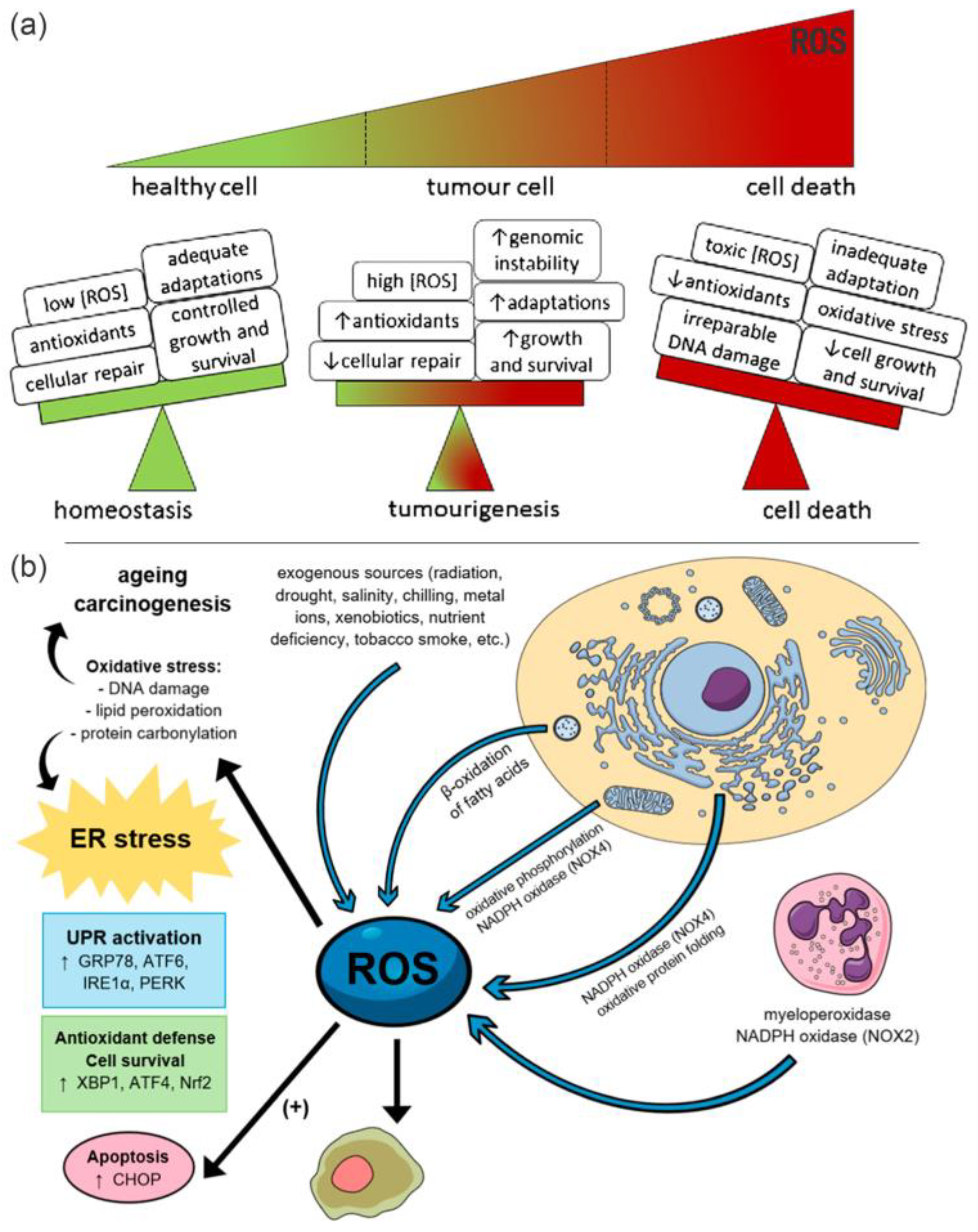 Molecules 28 03170 g001 Molecules 28 03170 g001