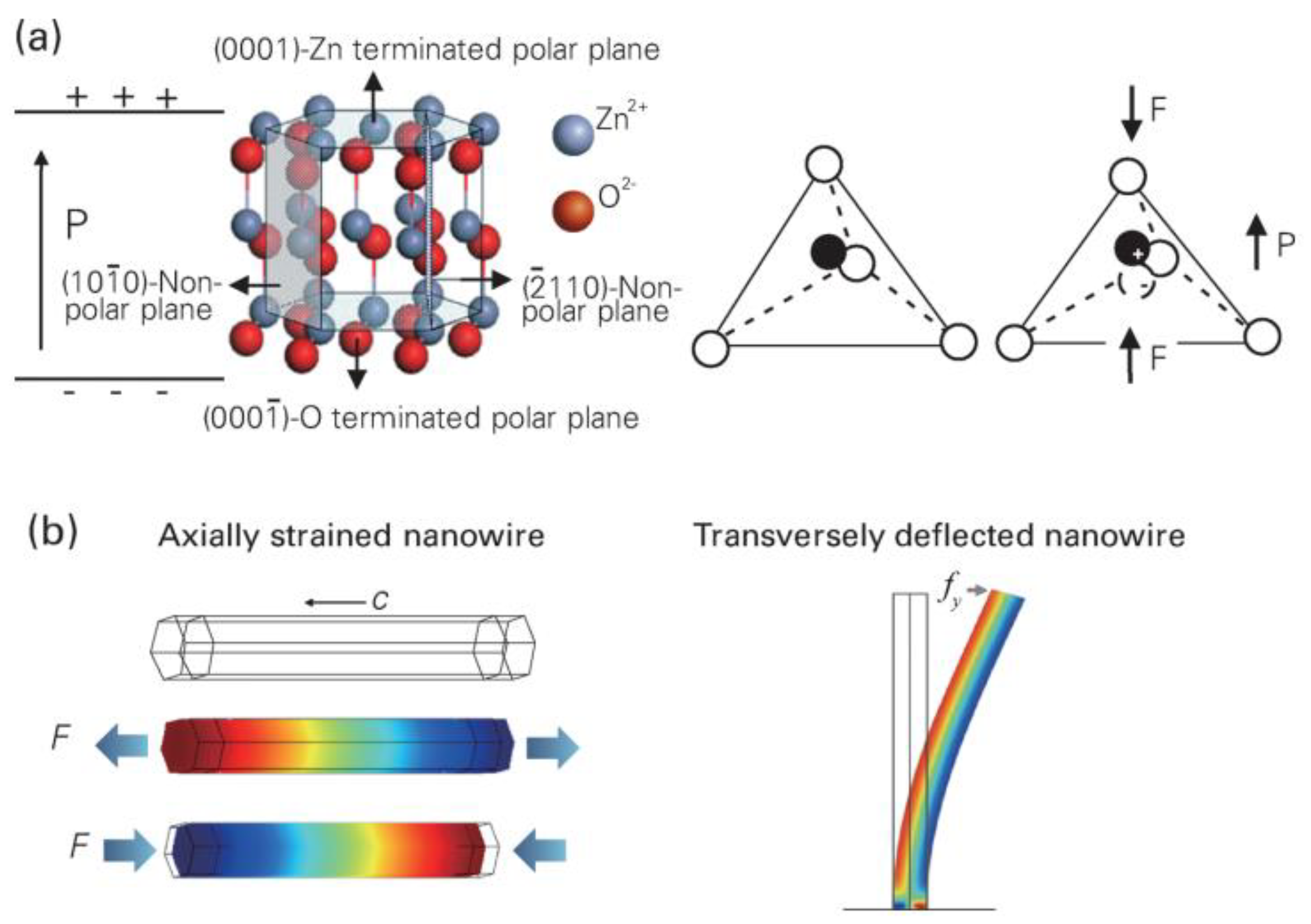 Molecules 28 03170 g003 Molecules 28 03170 g003