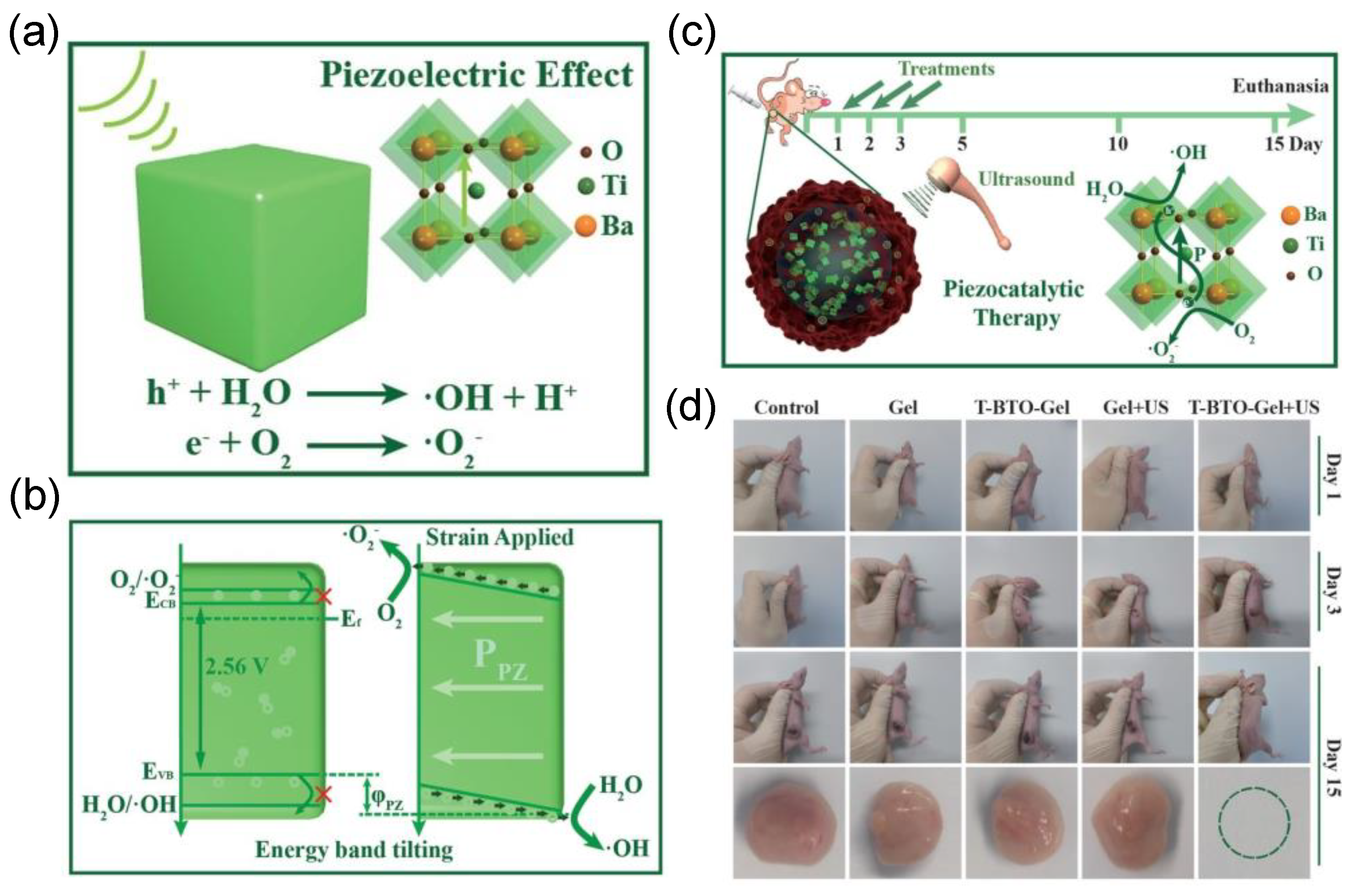 Molecules 28 03170 g006 Molecules 28 03170 g006