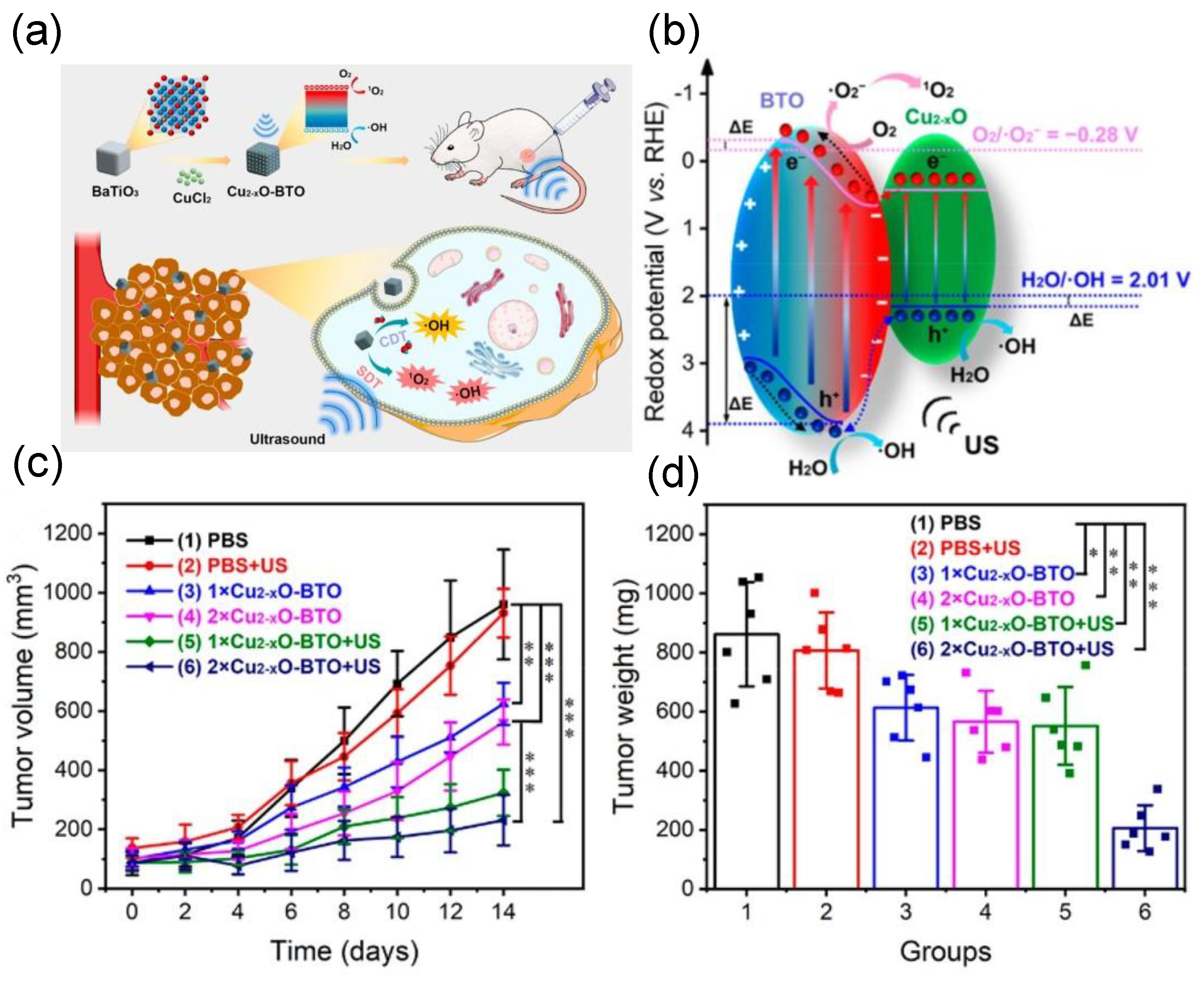 Molecules 28 03170 g008 Molecules 28 03170 g008