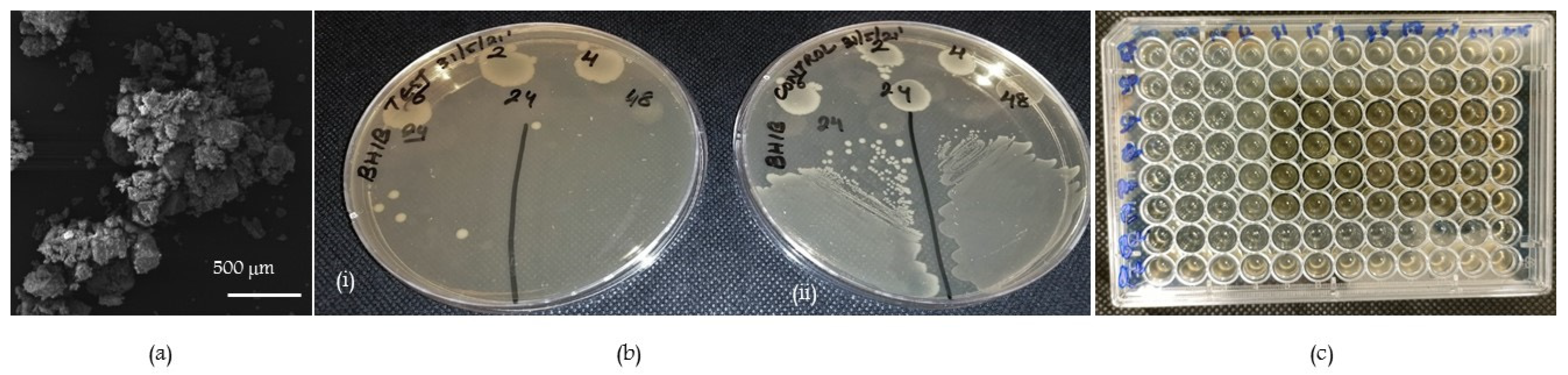 Molecules 28 03179 g001 Molecules 28 03179 g001