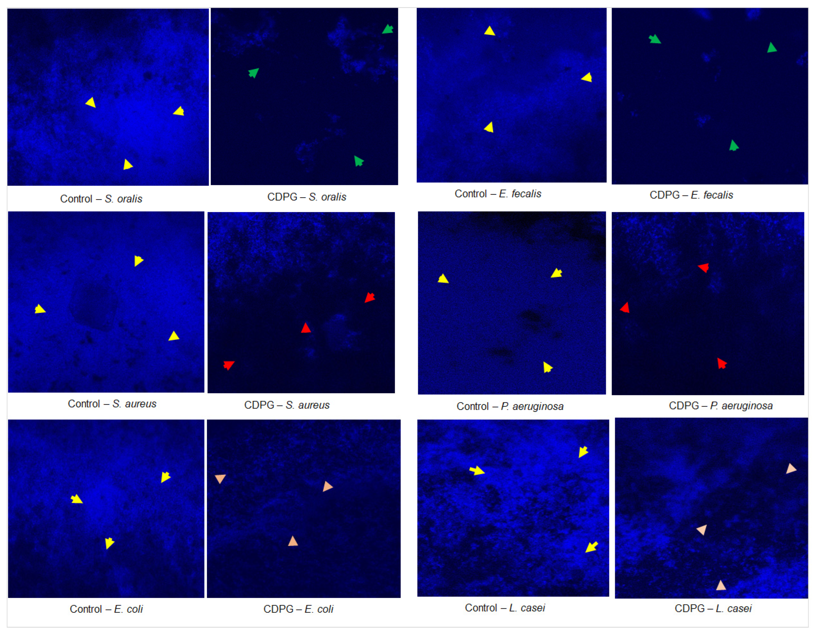 Molecules 28 03179 g004 Molecules 28 03179 g004
