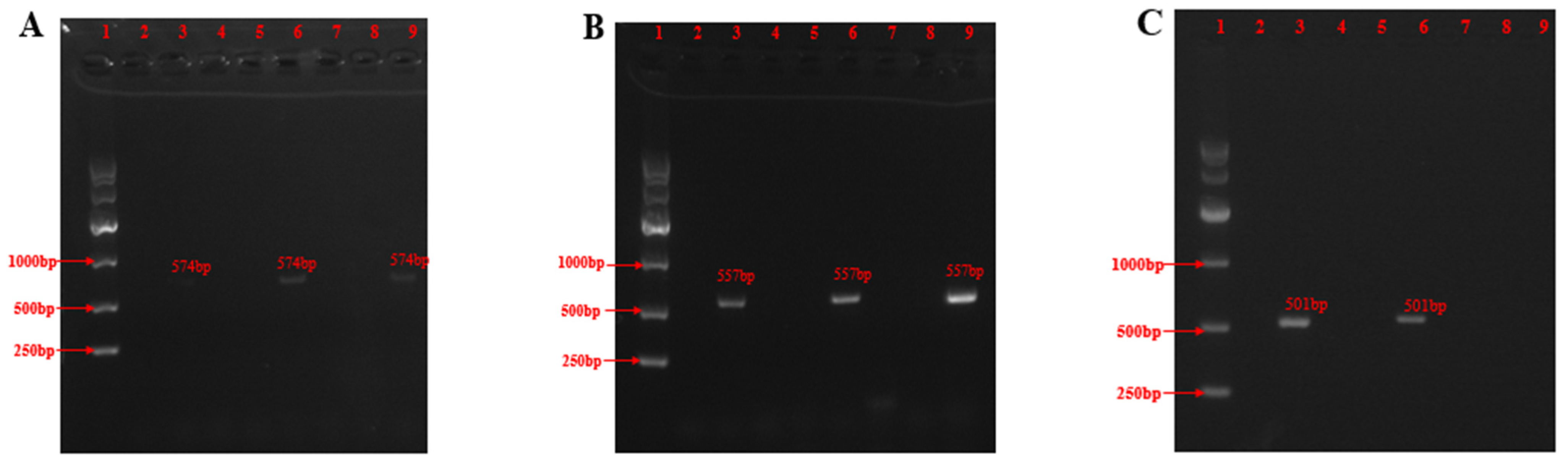Molecules 28 03180 g001 Molecules 28 03180 g001