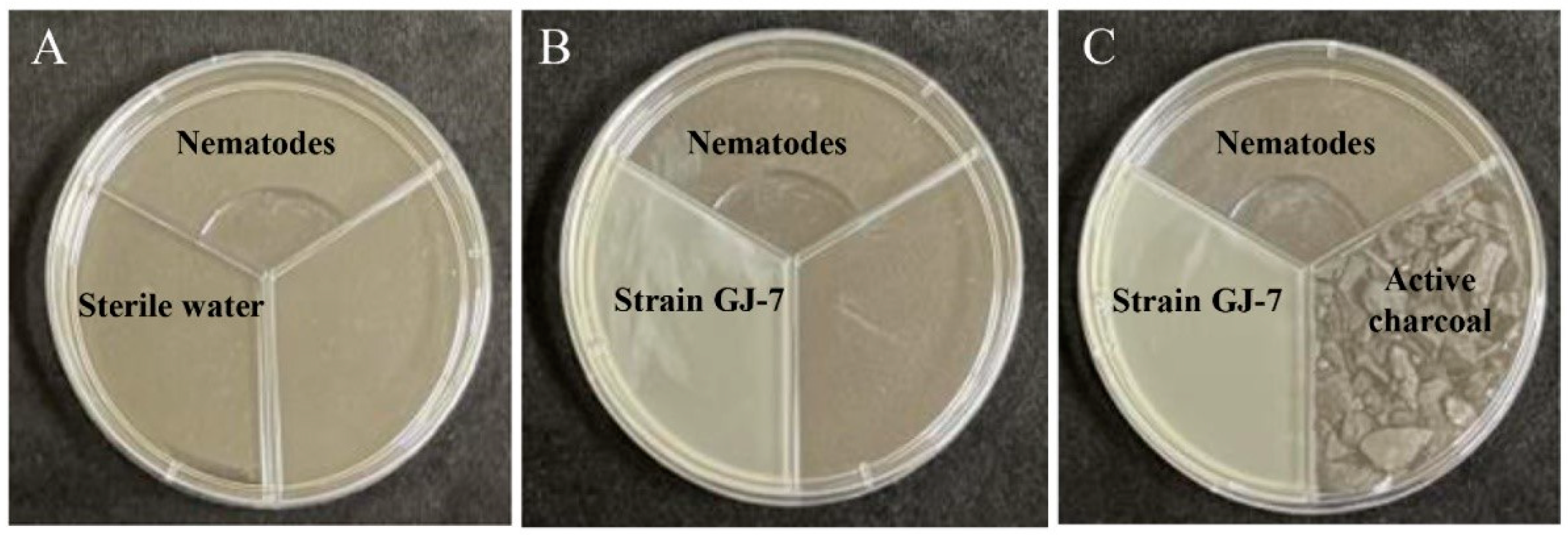 Molecules 28 03182 g007