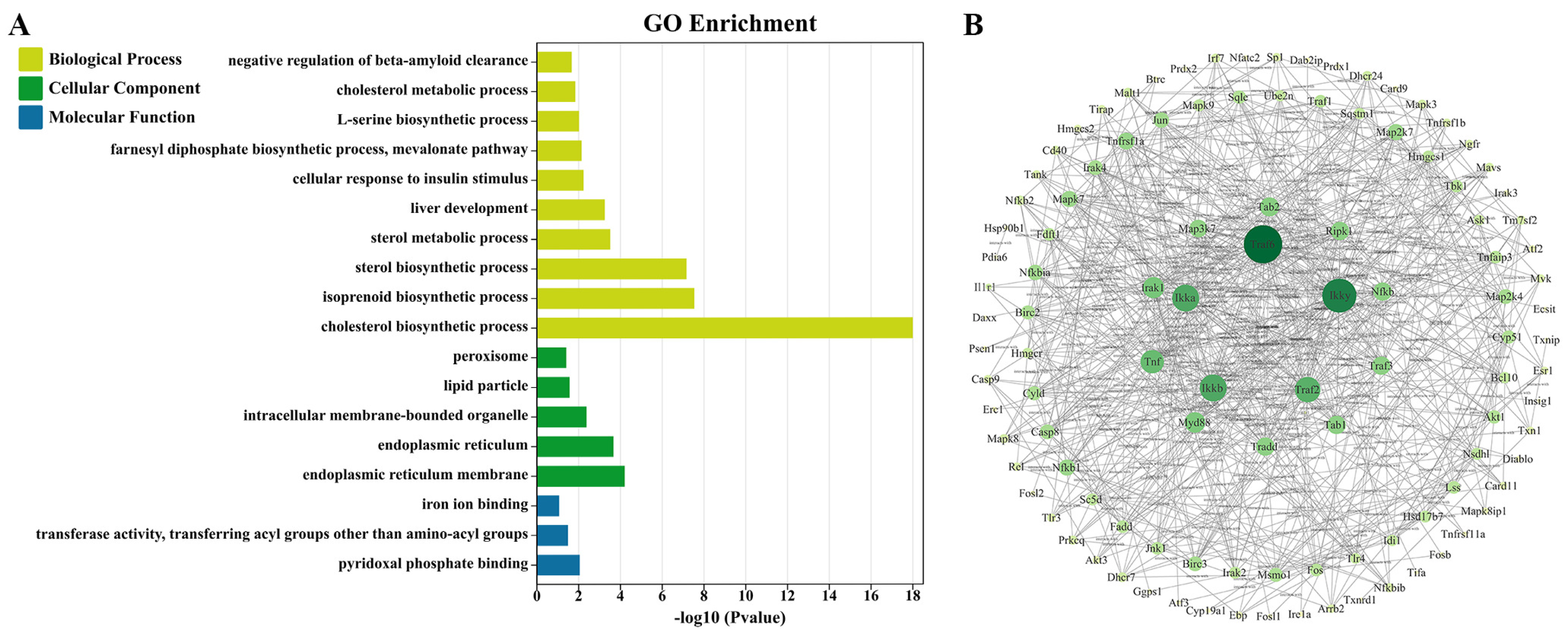 Molecules 28 03185 g001
