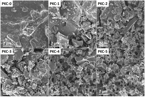 Preparation of Biochar with Developed Mesoporous Structure