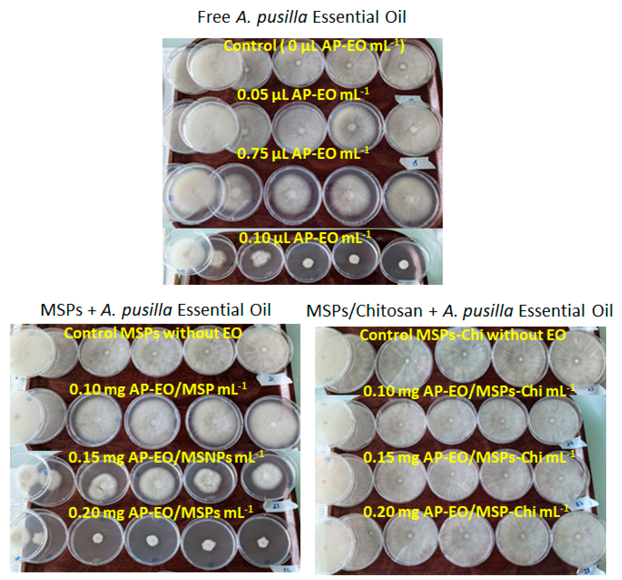 Molecules 28 03194 g008