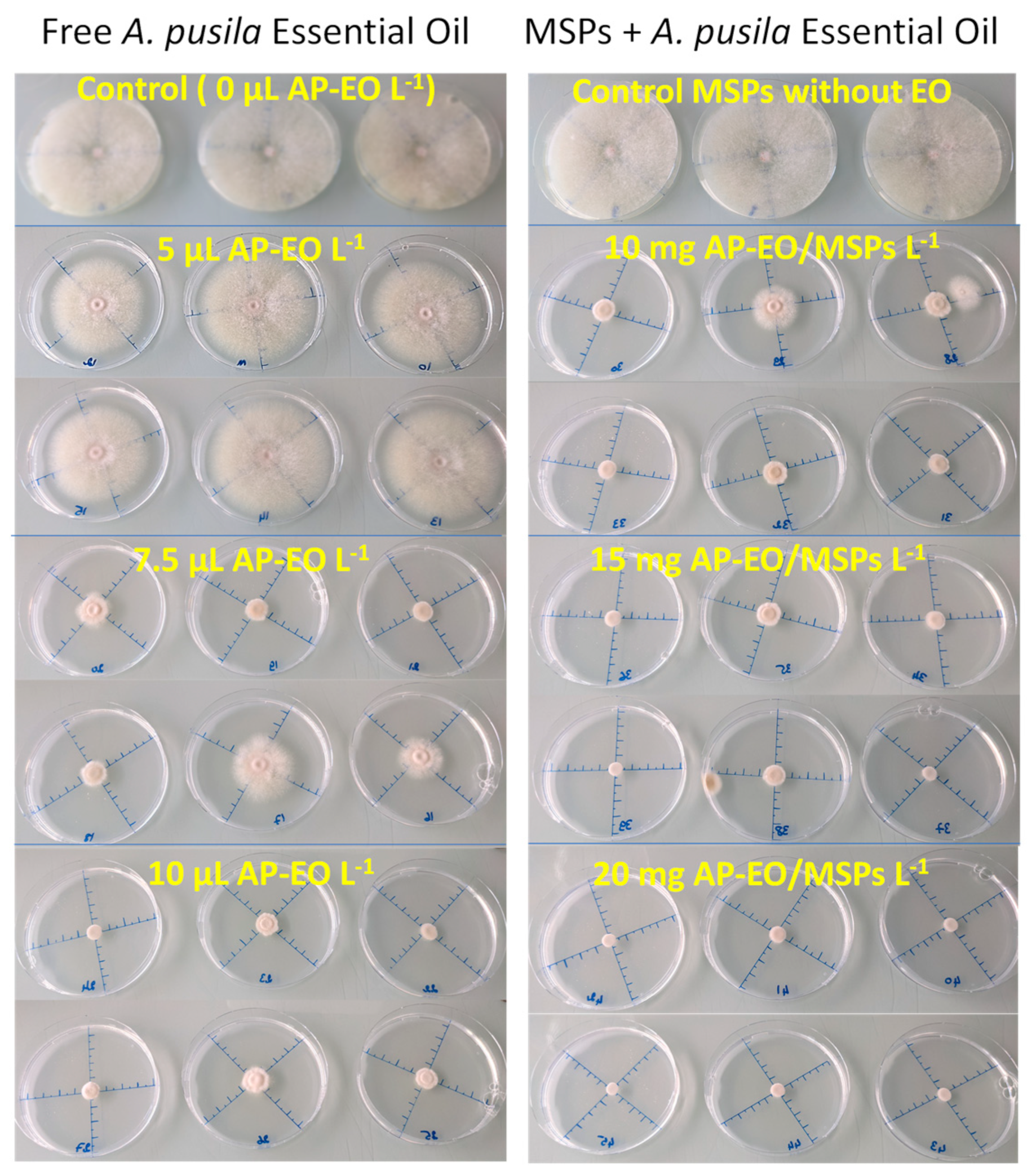 Molecules 28 03194 g010
