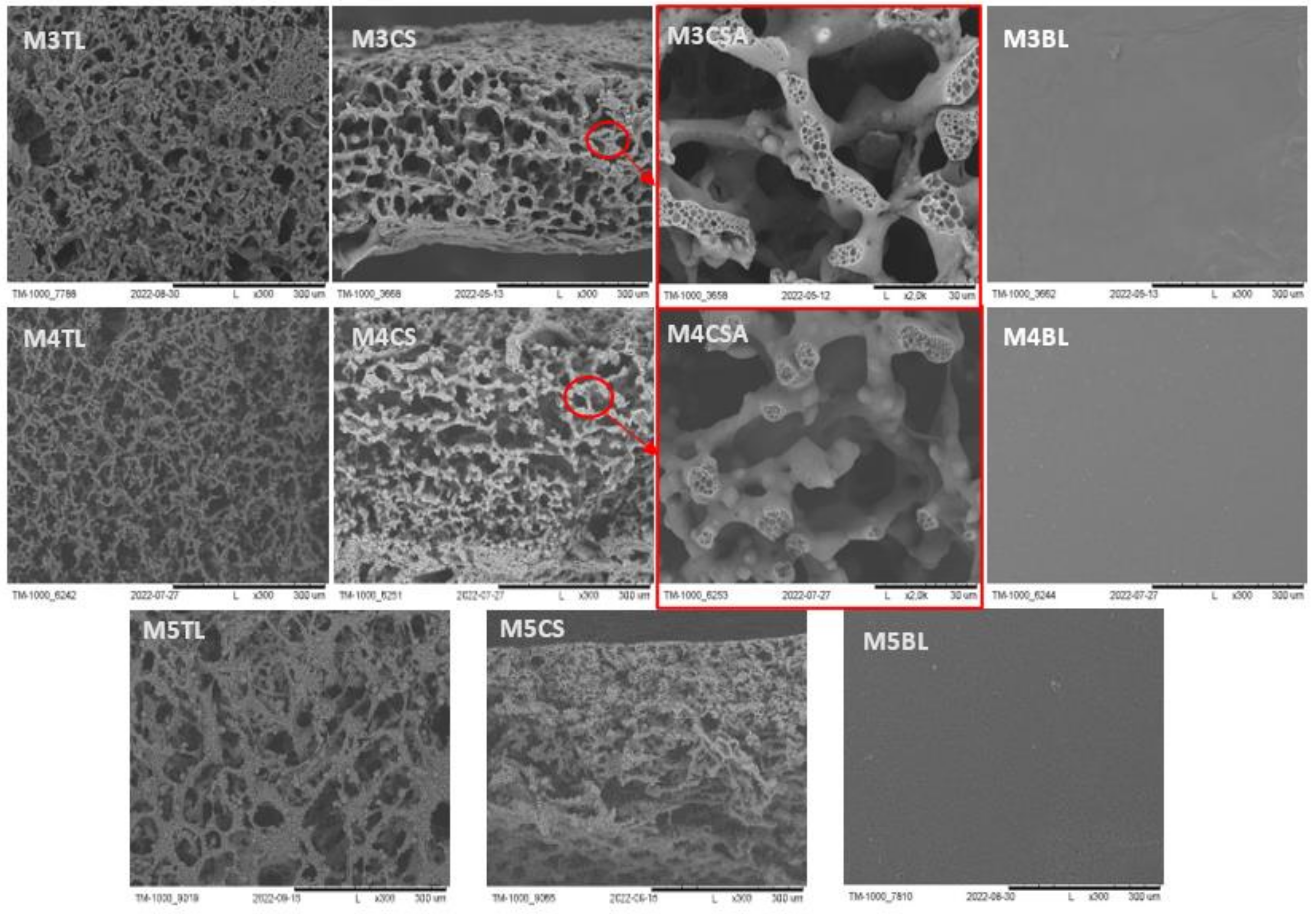 Molecules 28 03195 g002