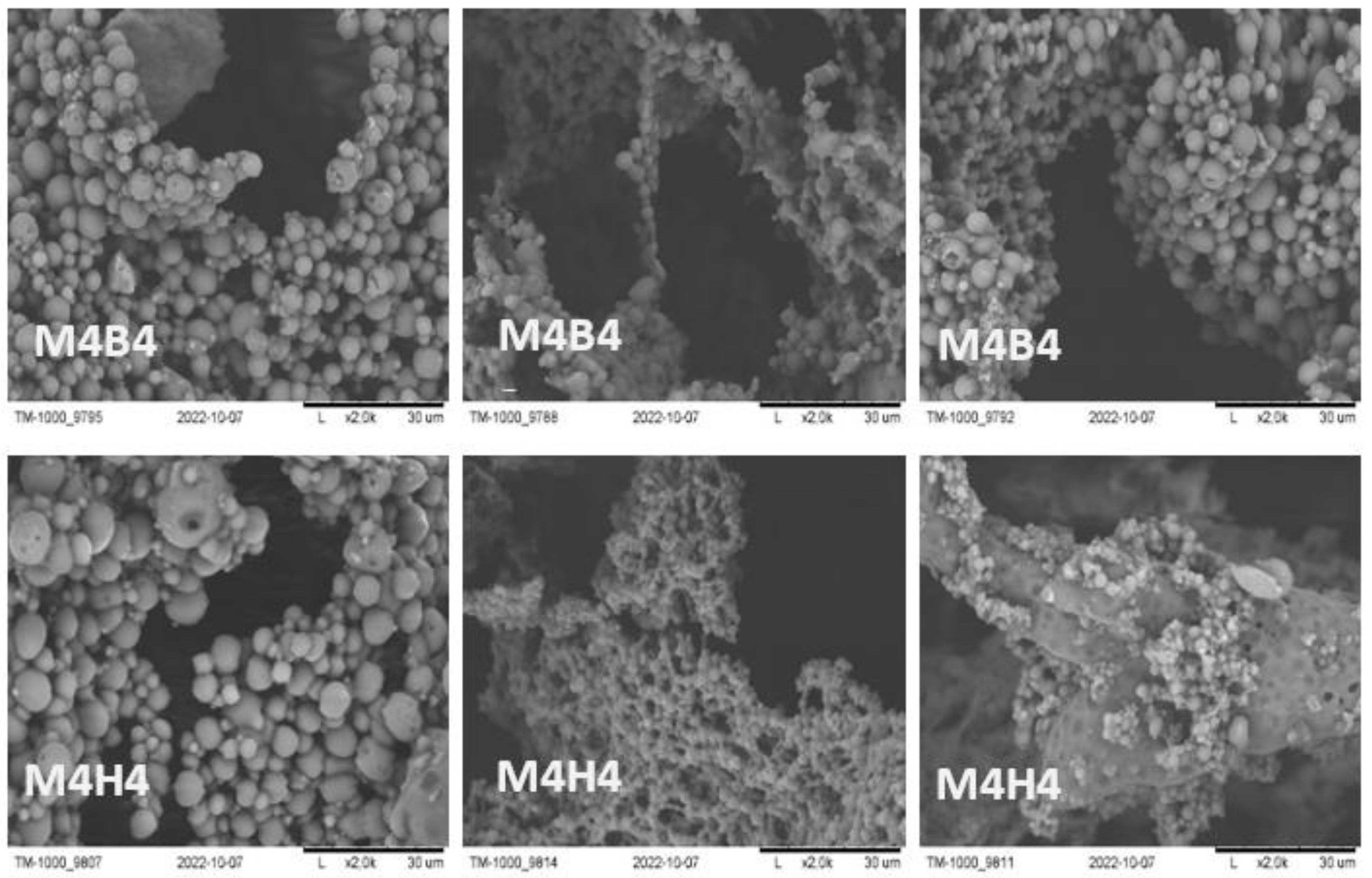 Molecules 28 03195 g006