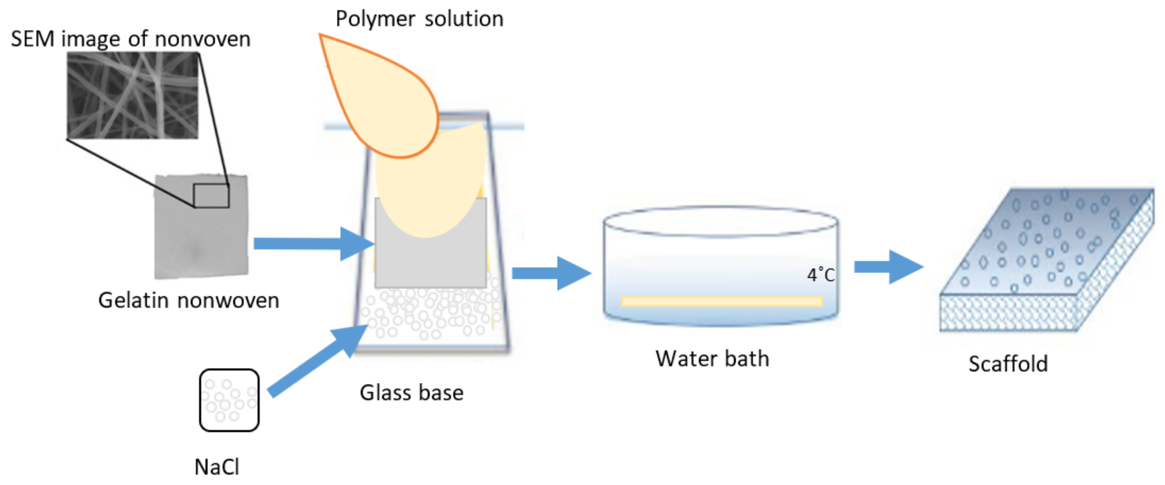 Molecules 28 03195 g023