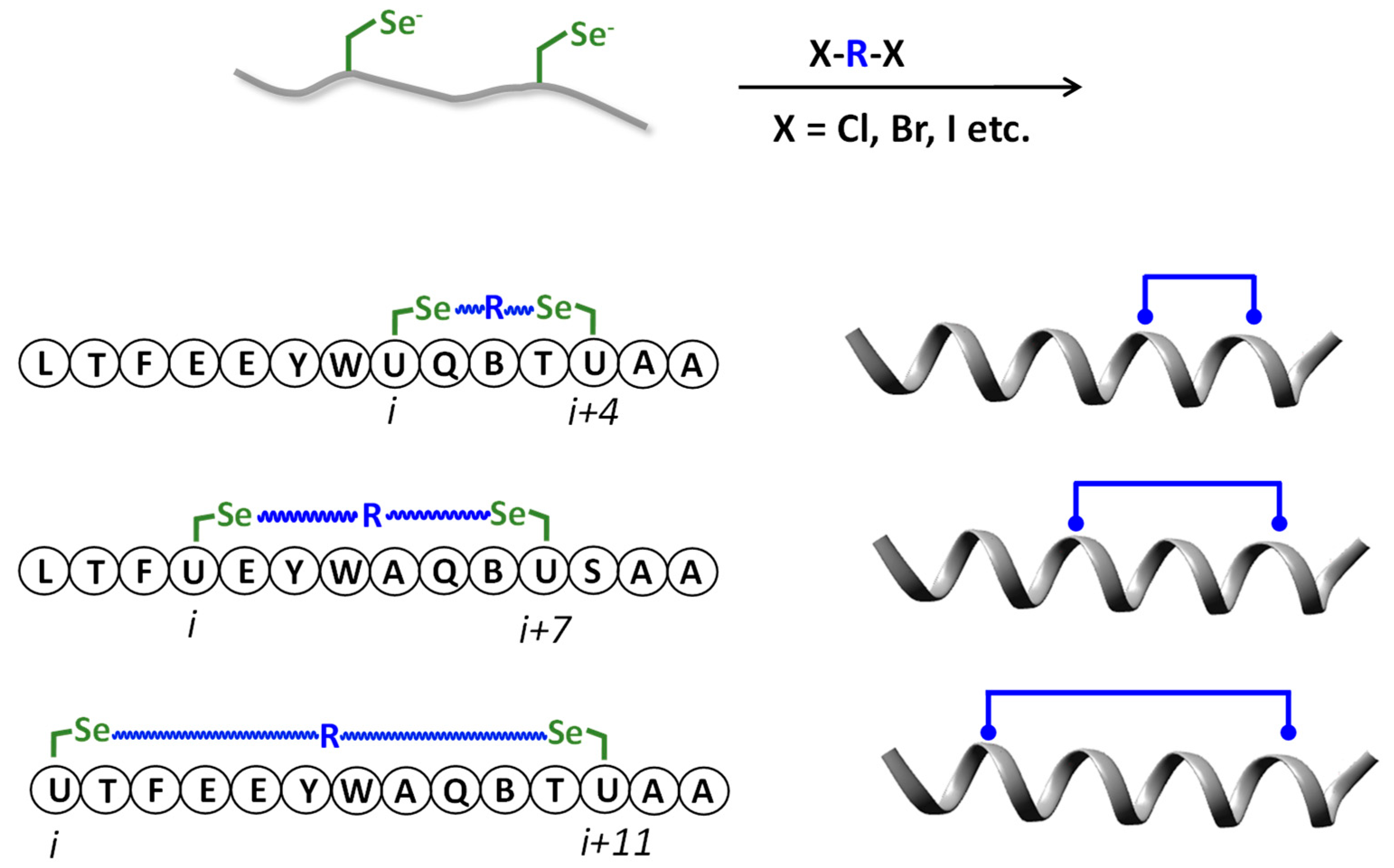 Molecules 28 03198 sch005 Molecules 28 03198 sch005