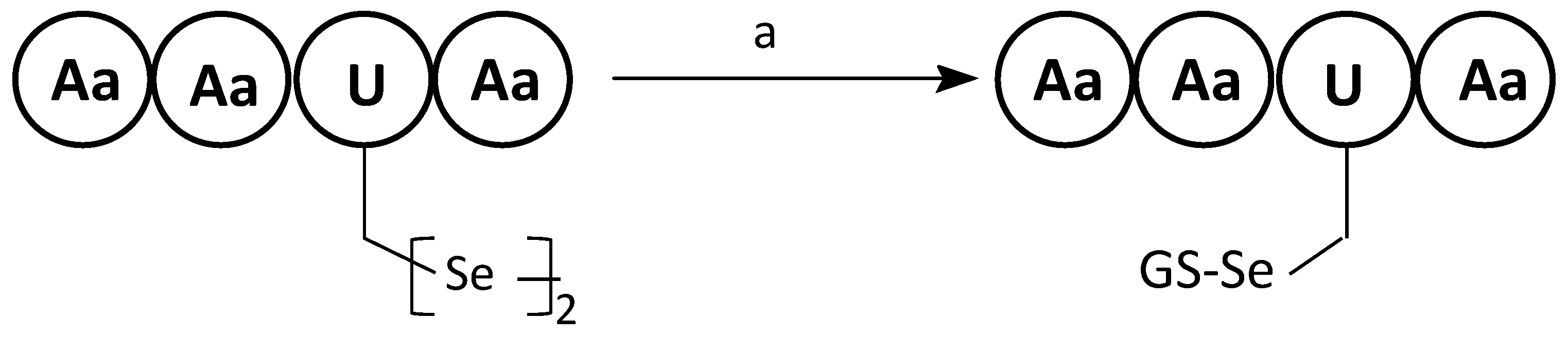 Molecules 28 03198 sch009 Molecules 28 03198 sch009