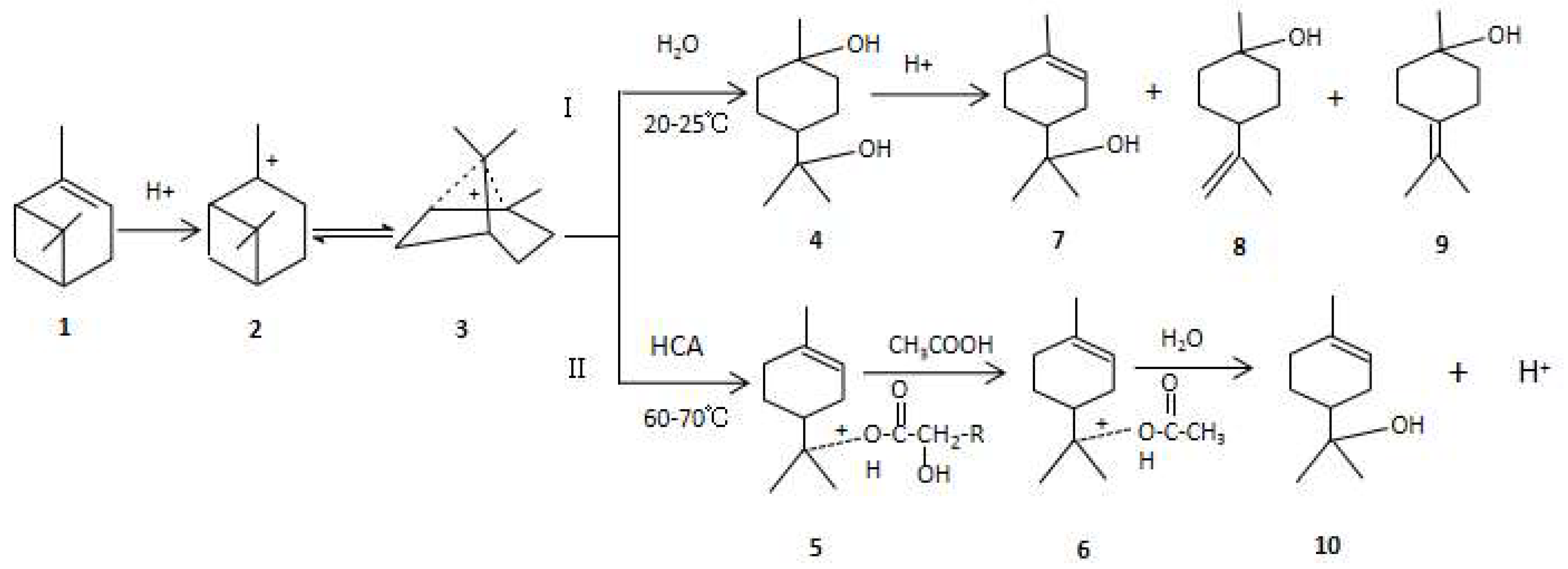 Molecules 28 03202 g007