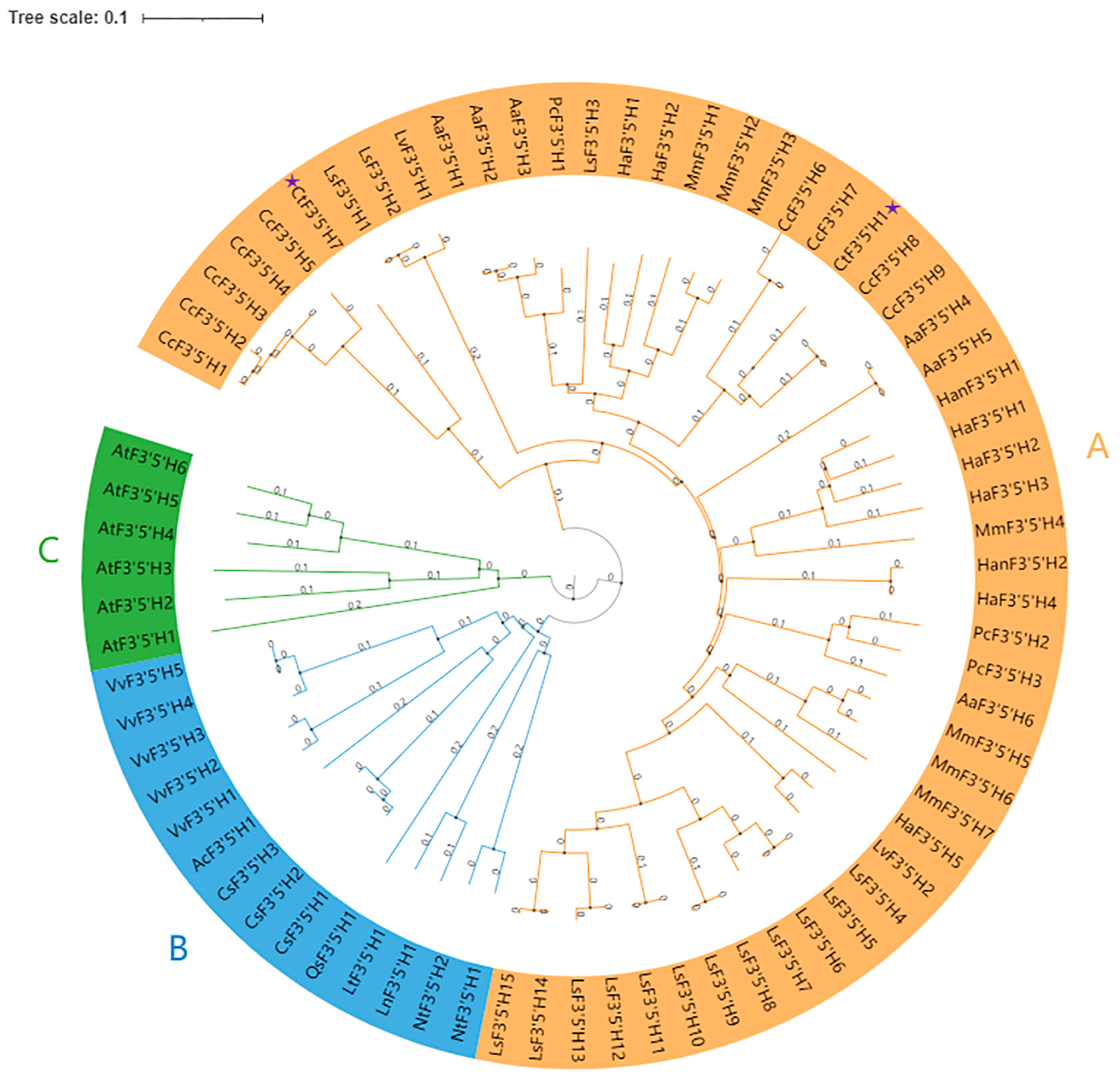 Molecules 28 03205 g001 Molecules 28 03205 g001