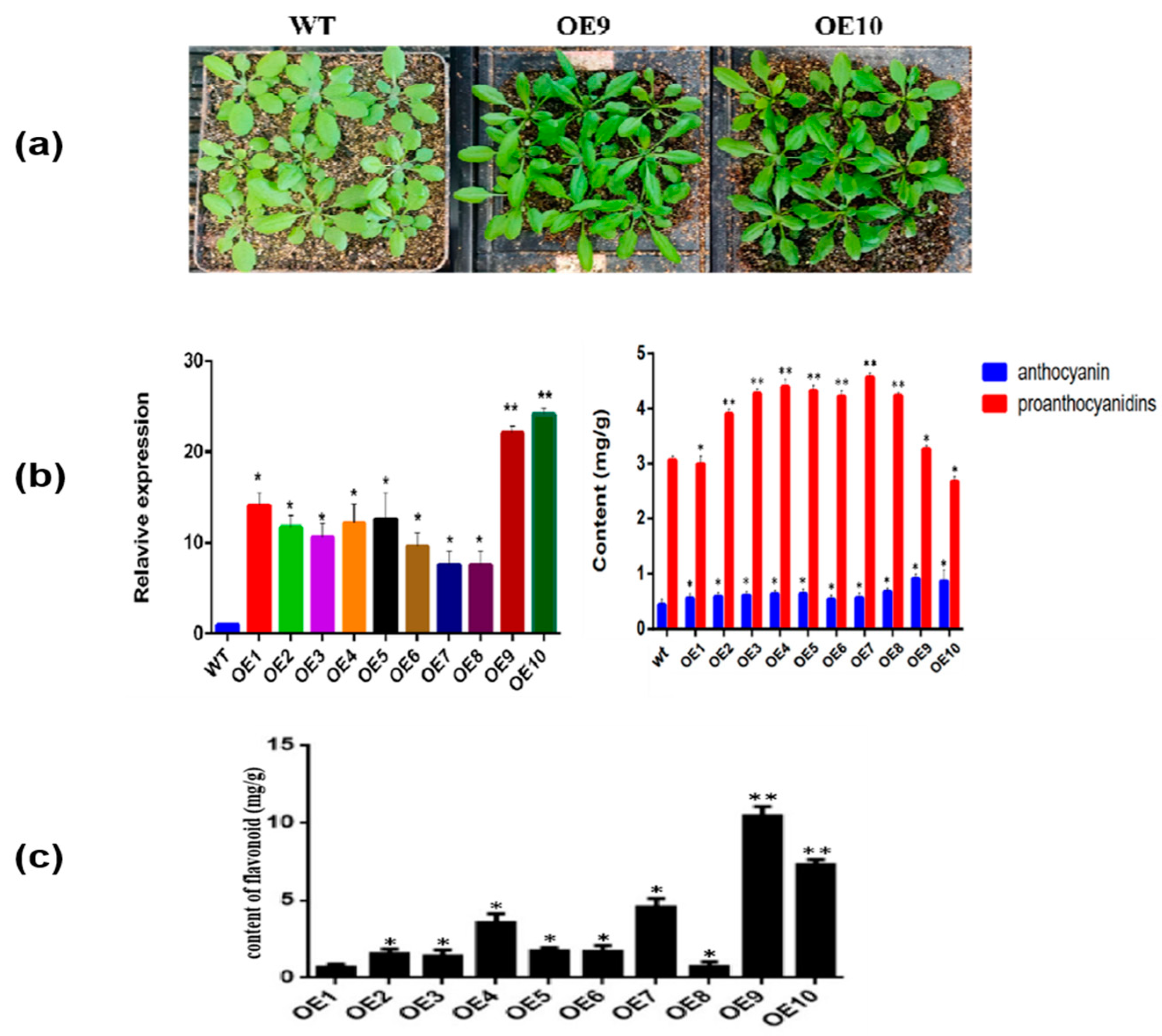 Molecules 28 03205 g005 Molecules 28 03205 g005