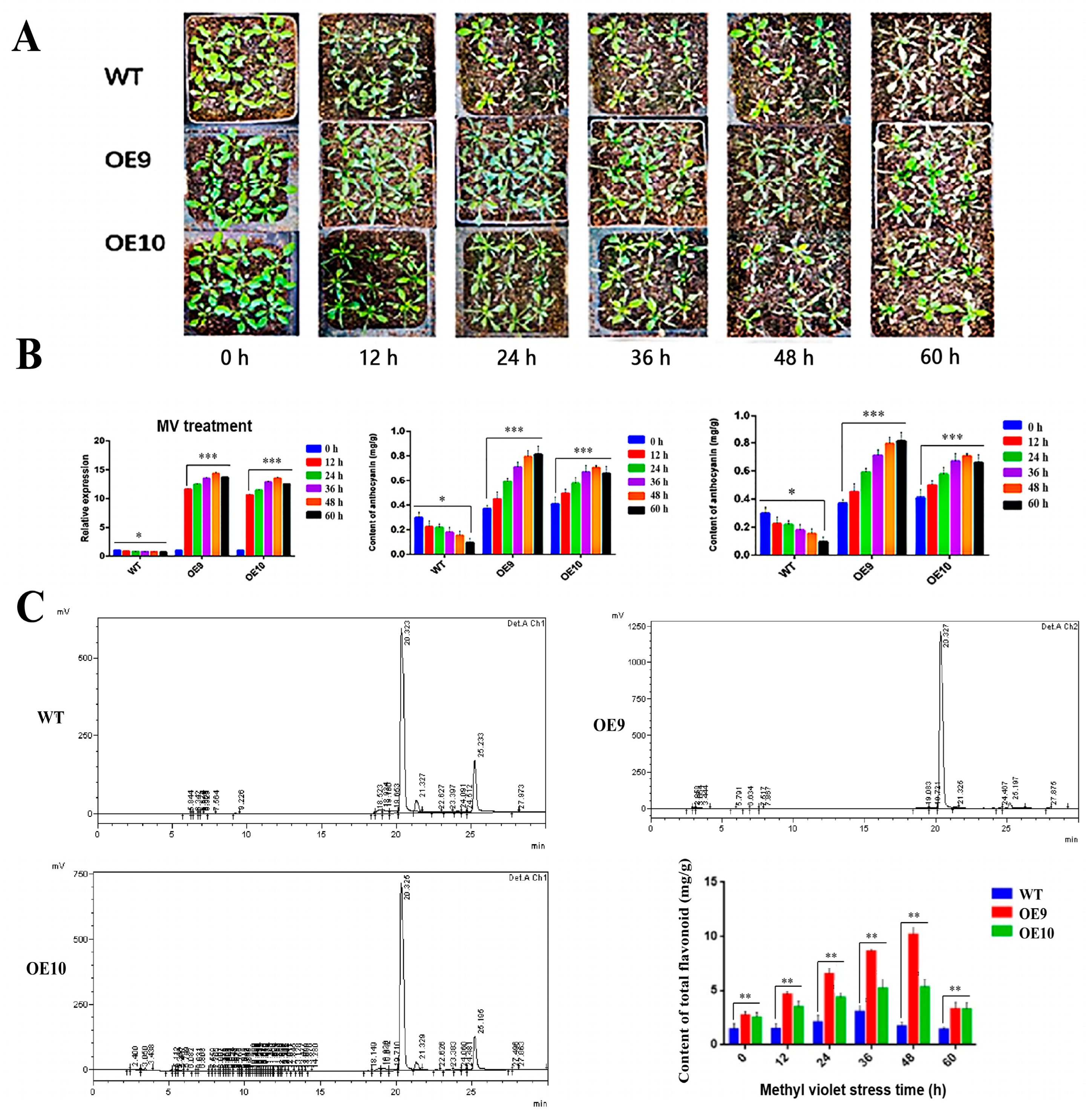 Molecules 28 03205 g007 Molecules 28 03205 g007