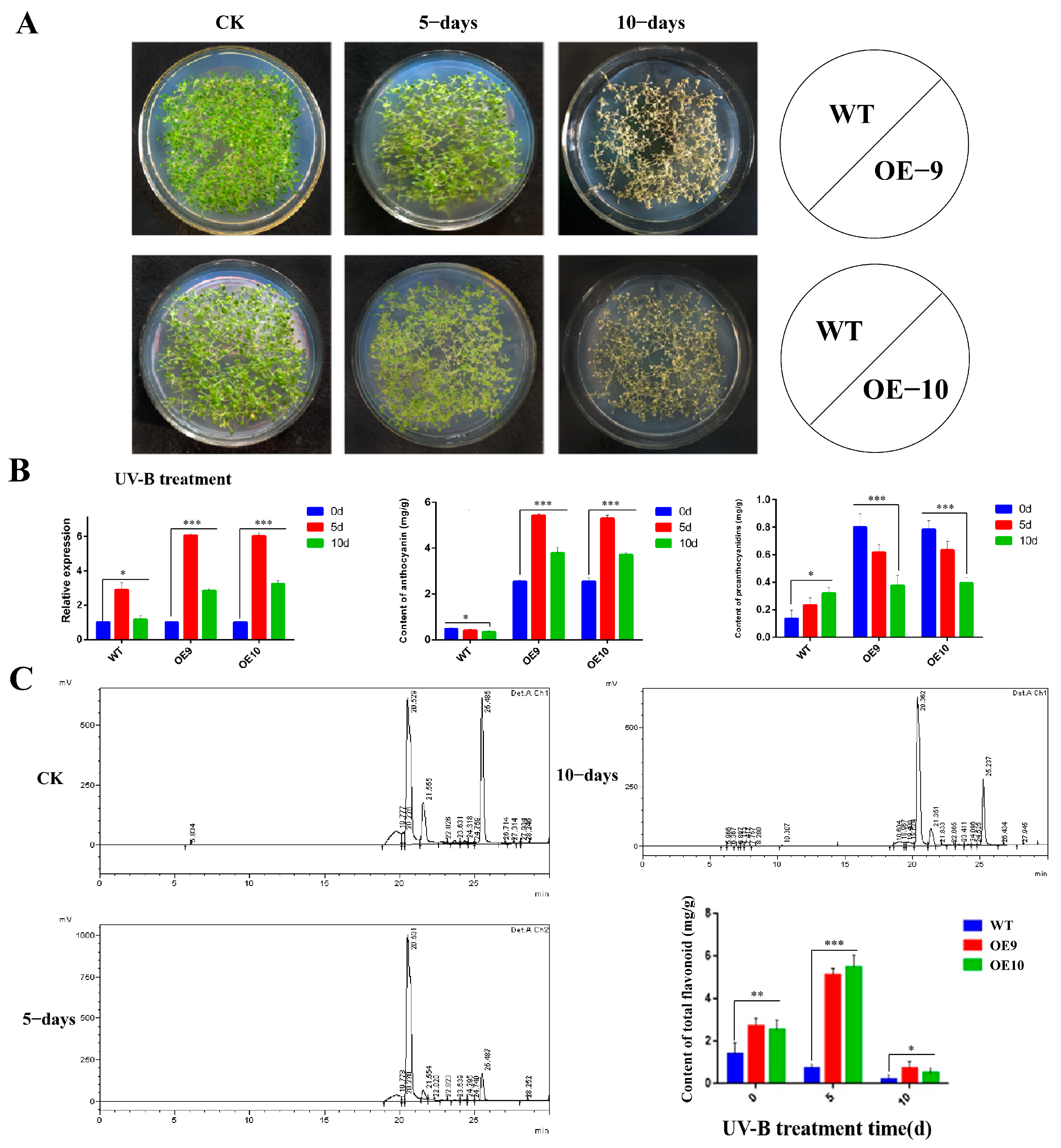 Molecules 28 03205 g008 Molecules 28 03205 g008