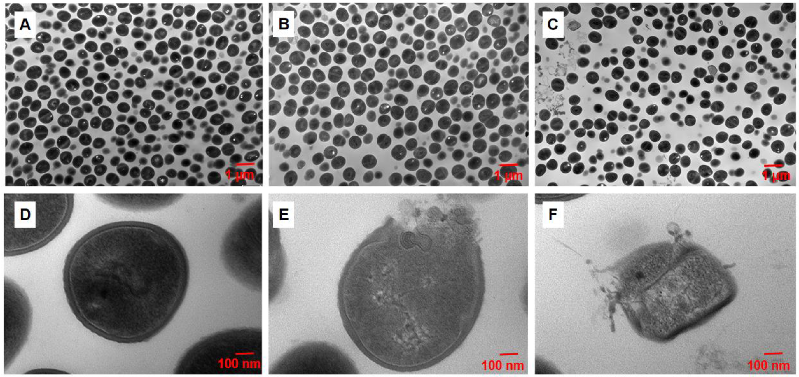 Molecules 28 03219 g004 Molecules 28 03219 g004