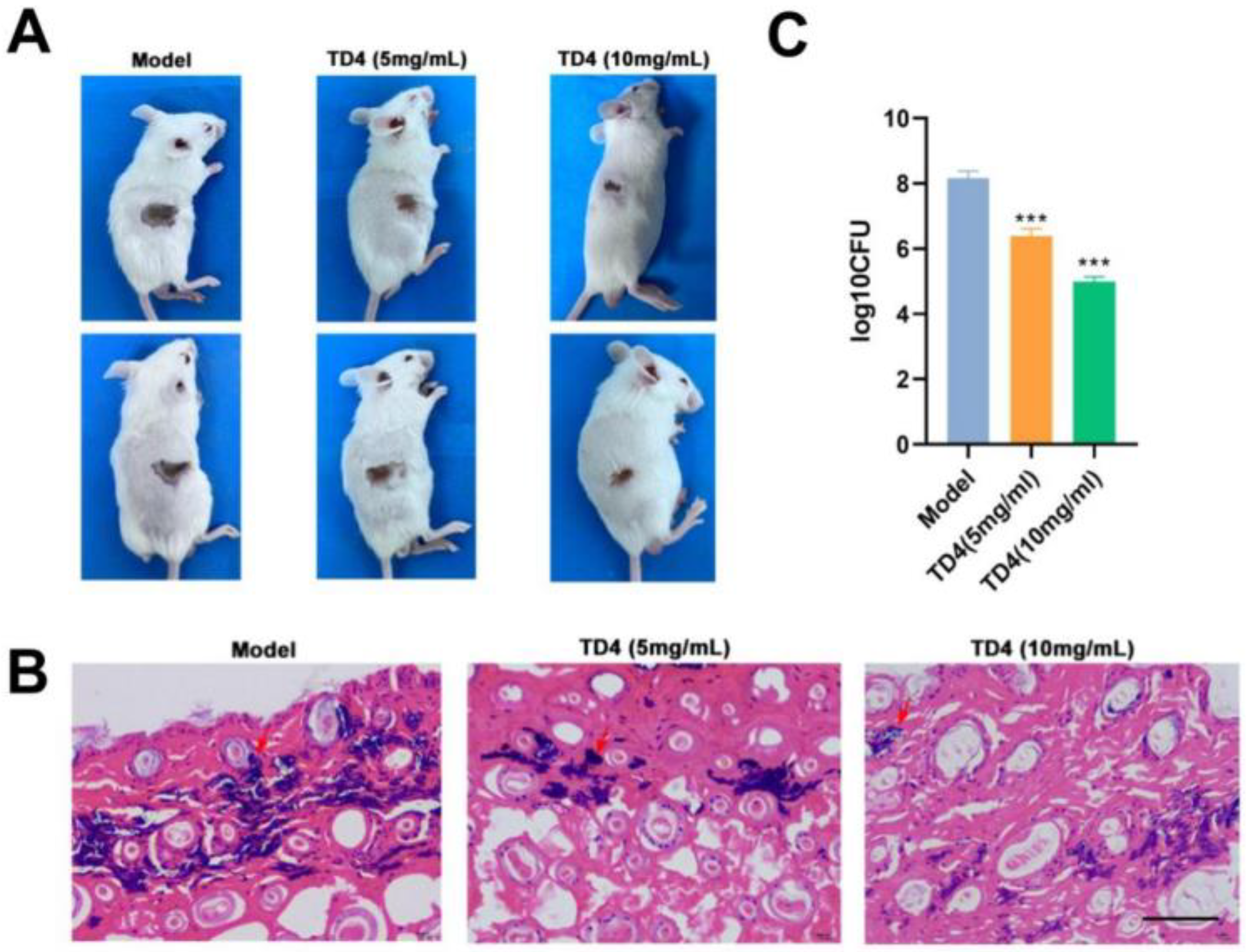 Molecules 28 03219 g005 Molecules 28 03219 g005