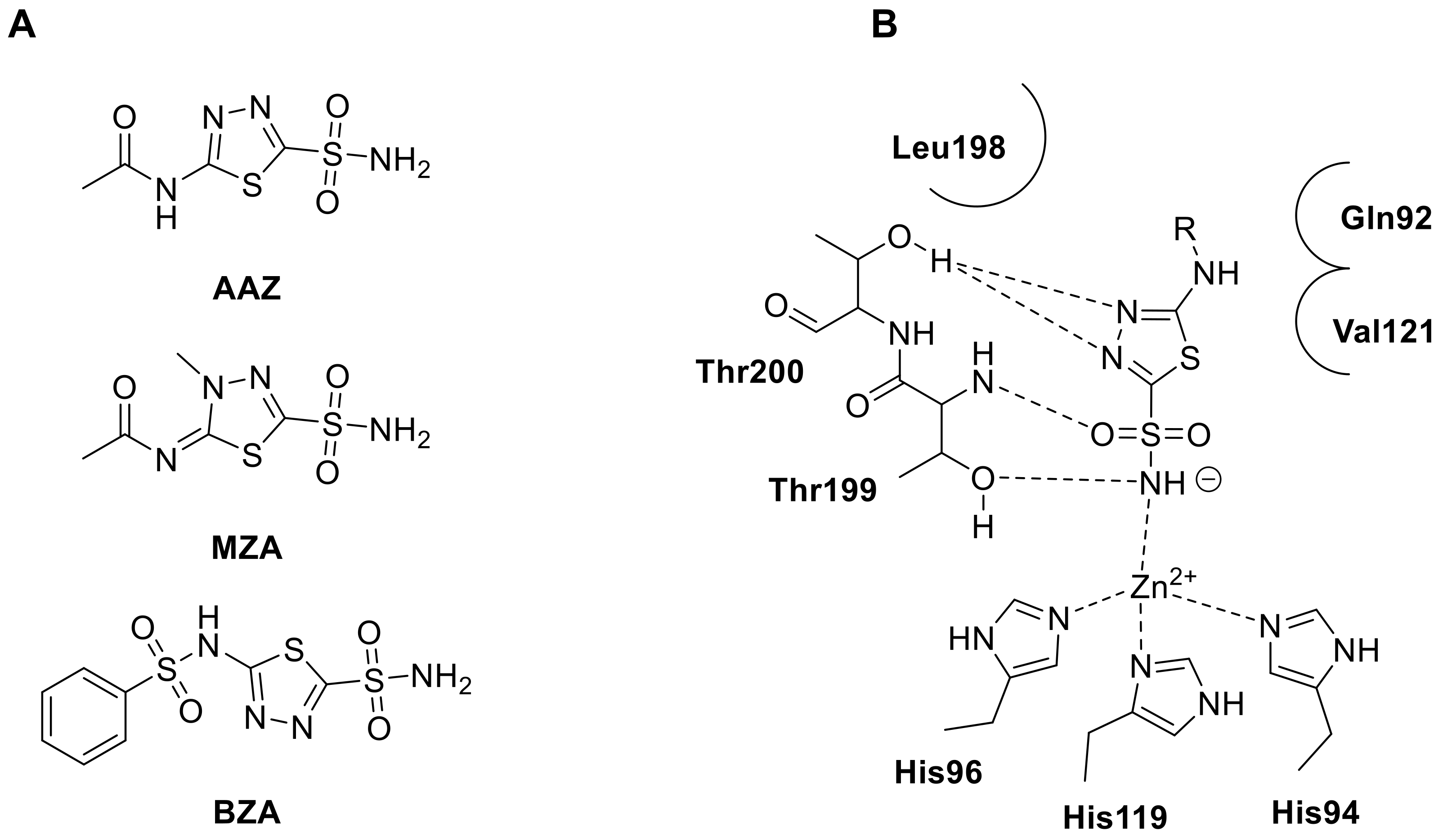 Molecules 28 03220 g006 Molecules 28 03220 g006