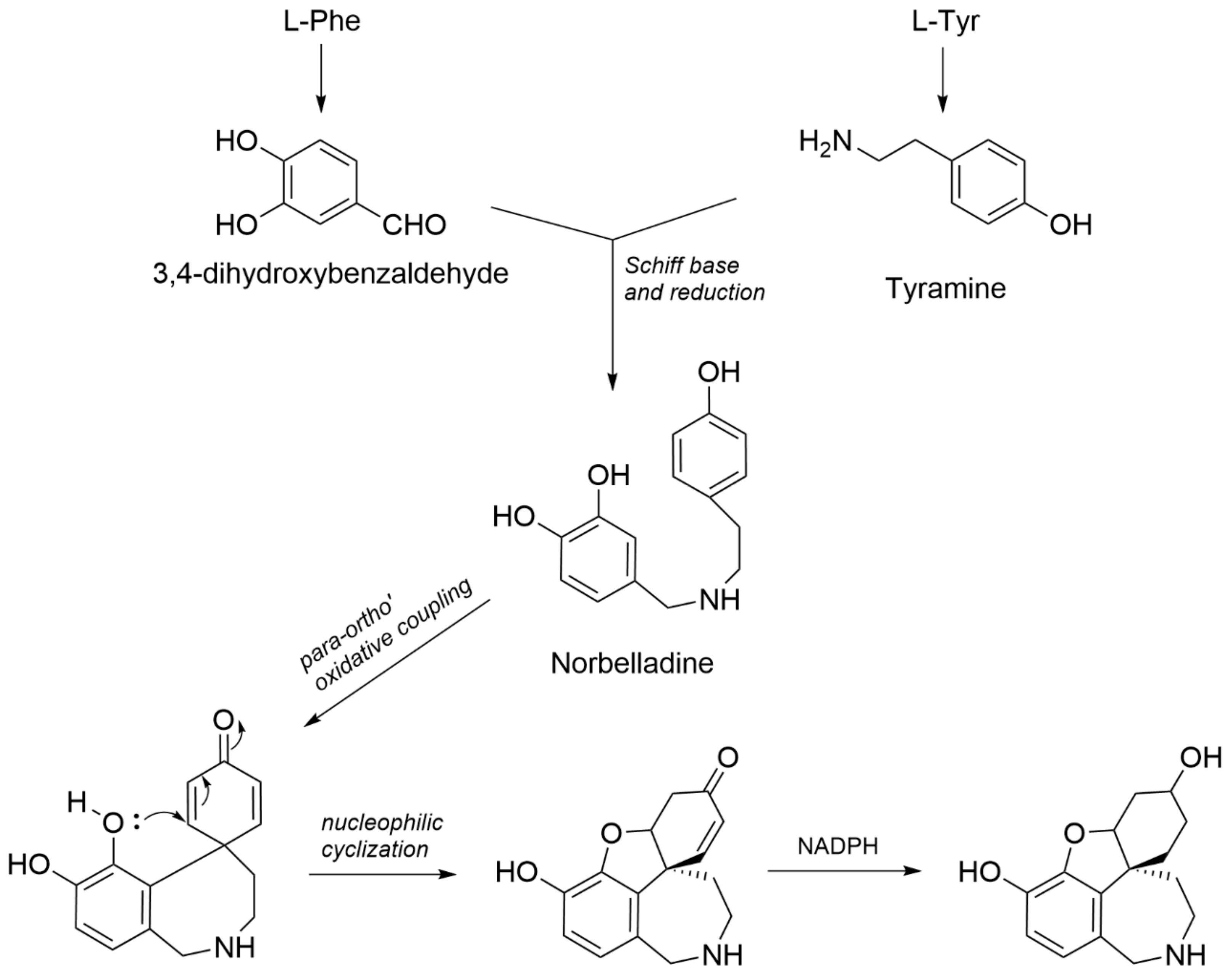 Molecules 28 03222 g003